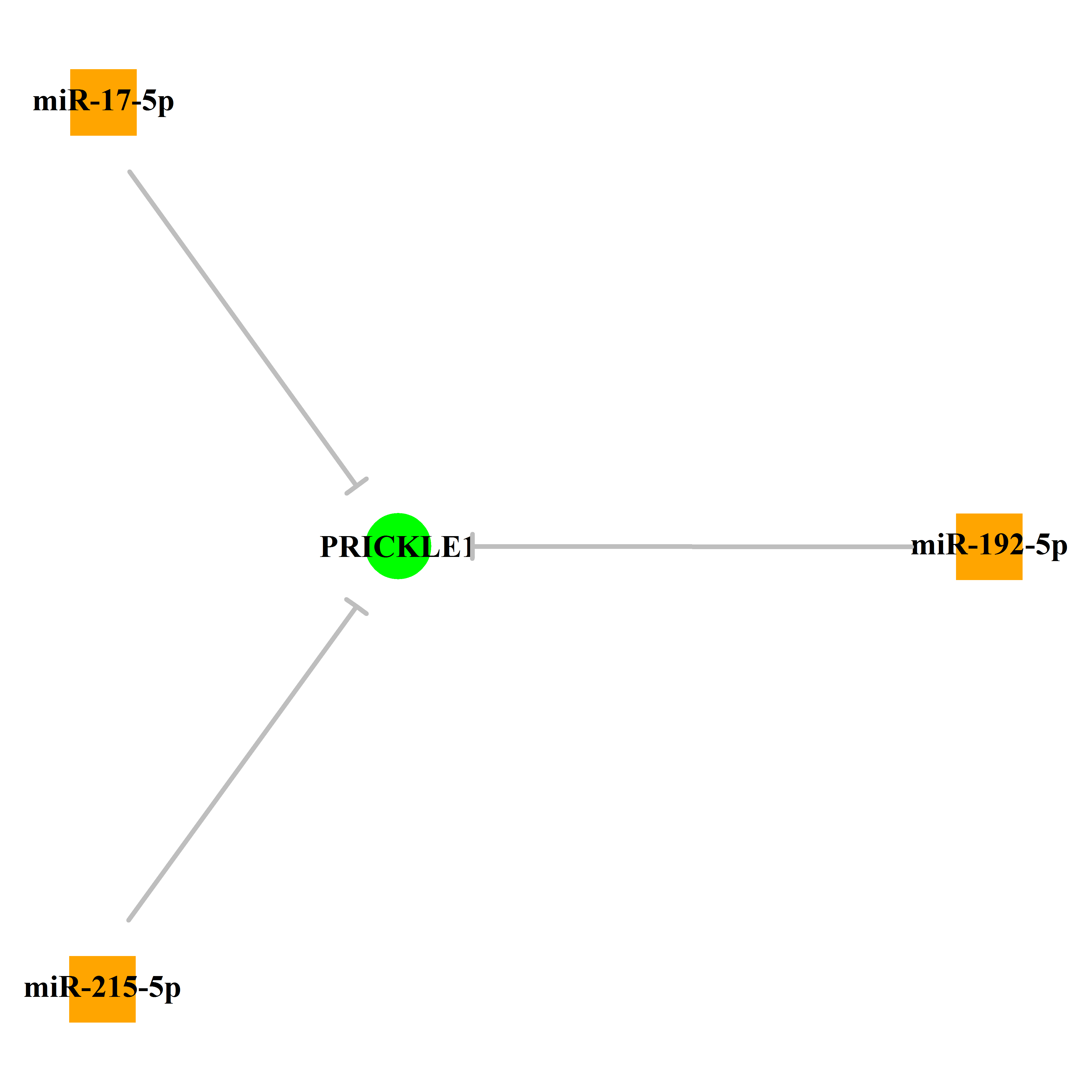 Experimentally validated miRNA-TS gene regulation information.