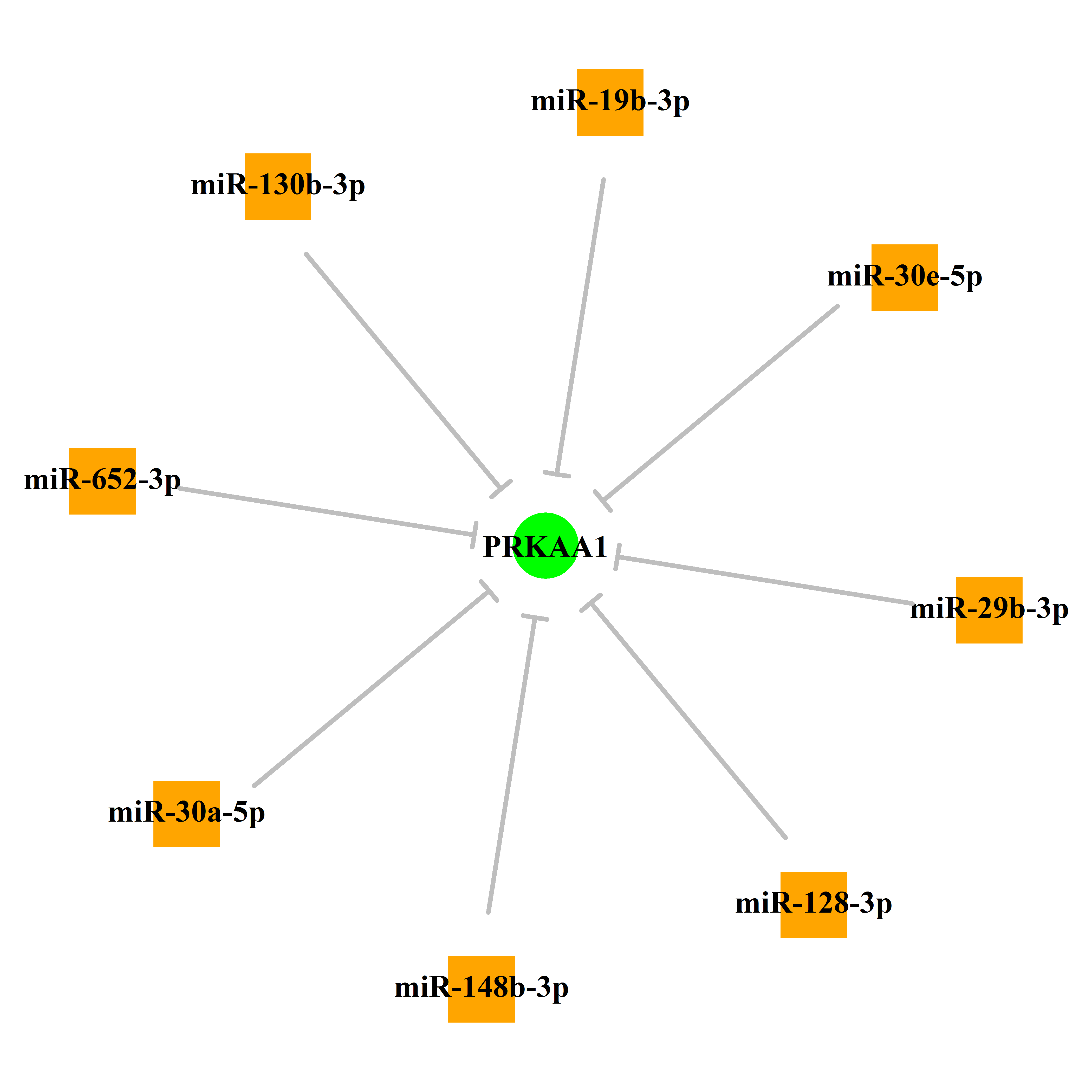 Experimentally validated miRNA-TS gene regulation information.