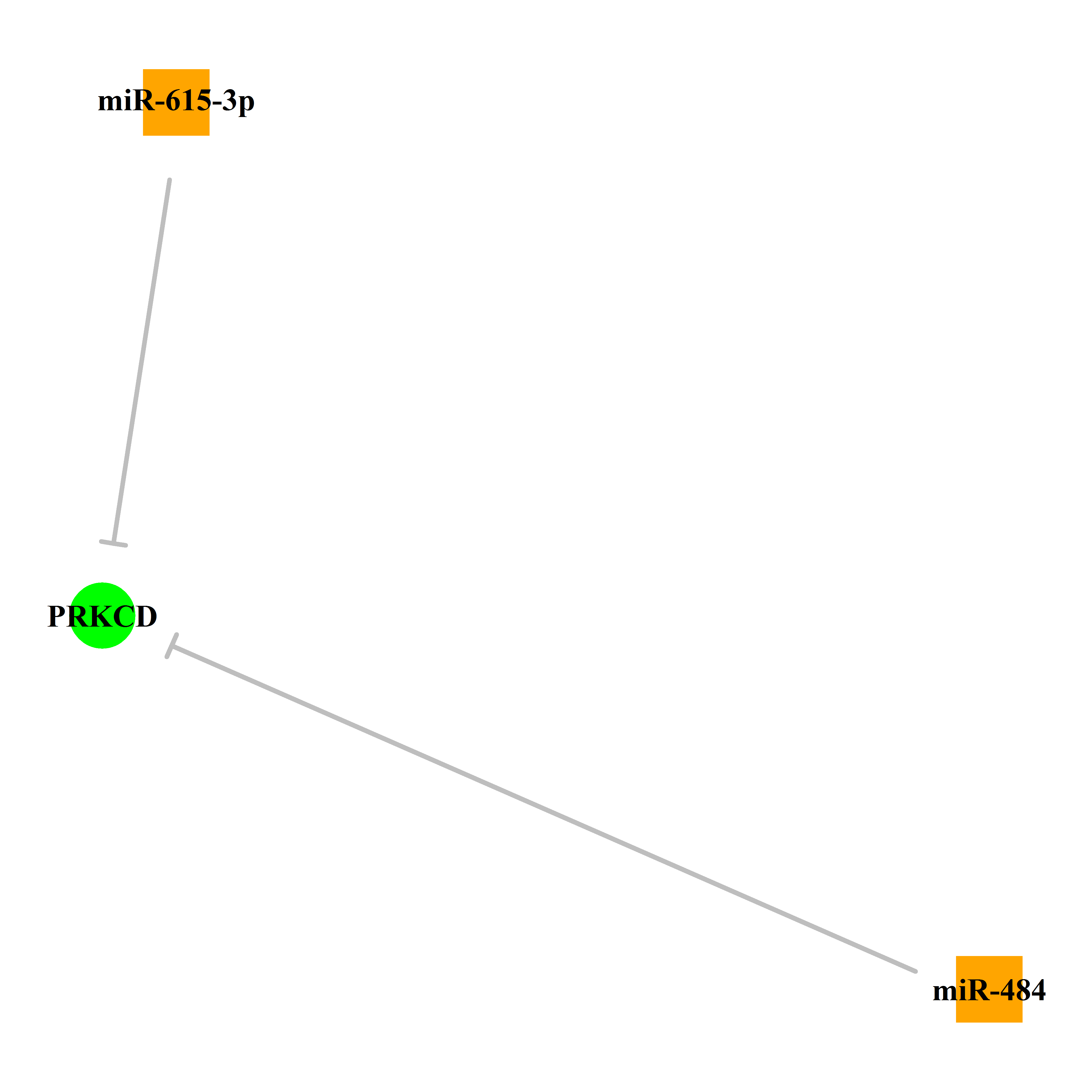 Experimentally validated miRNA-TS gene regulation information.