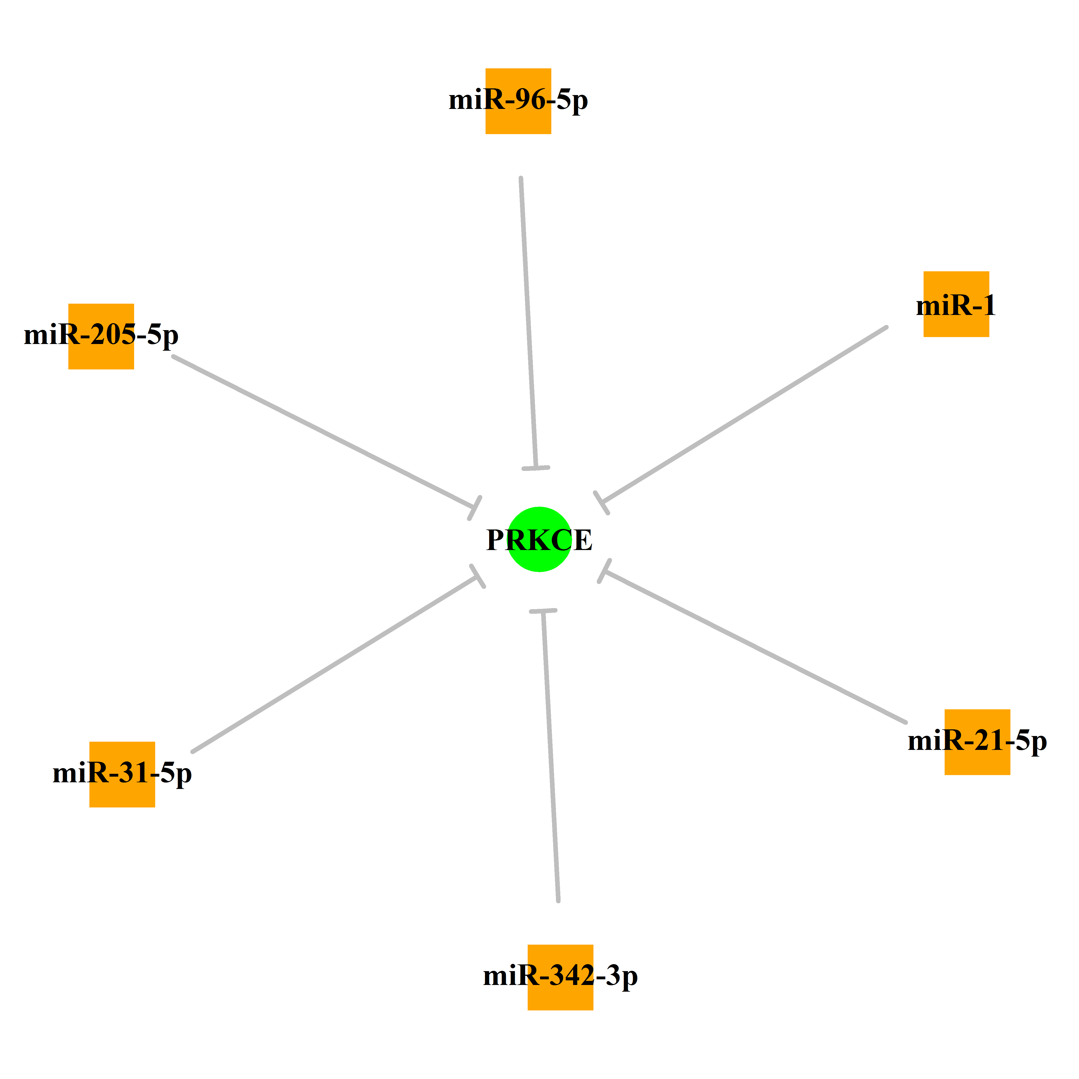 Experimentally validated miRNA-TS gene regulation information.