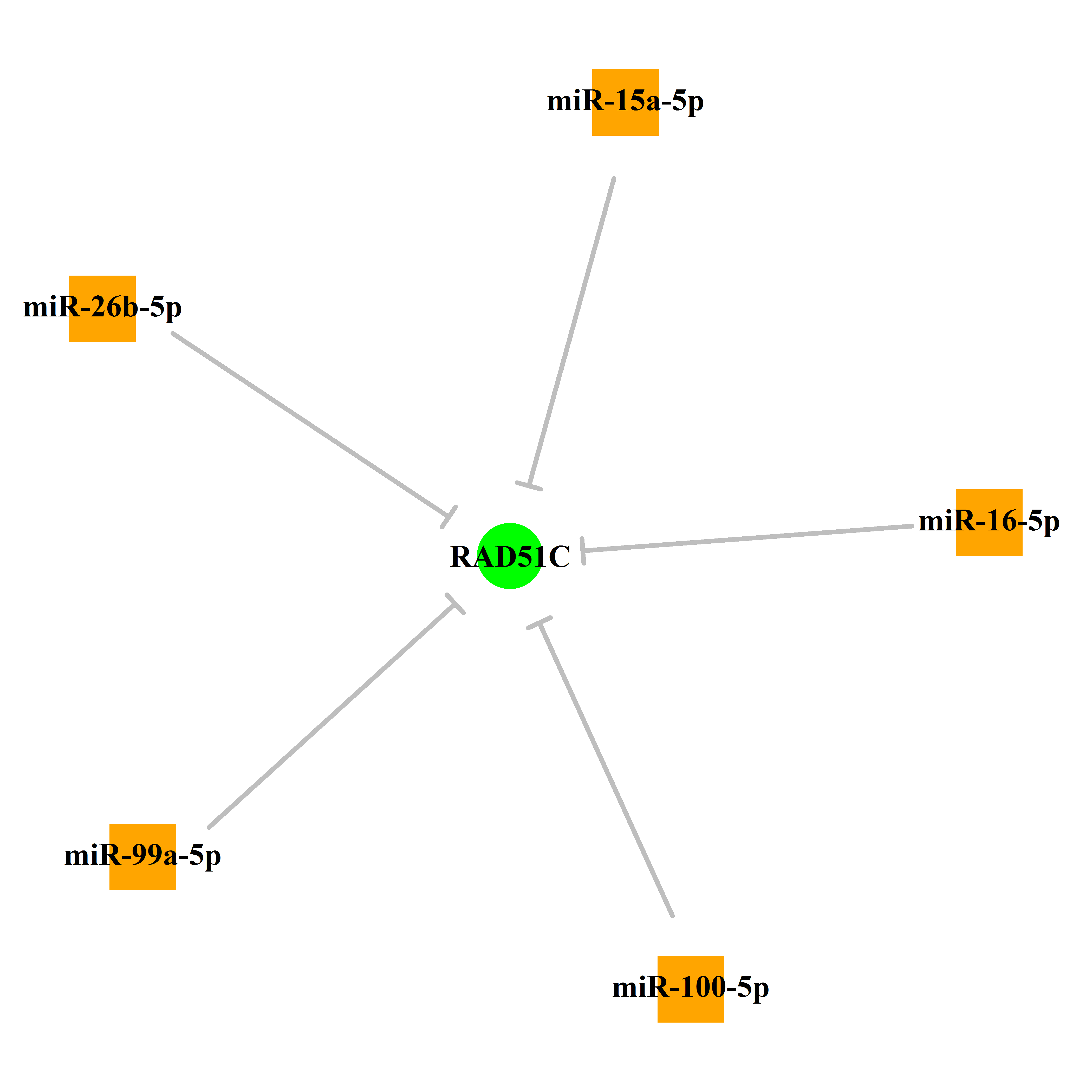 Experimentally validated miRNA-TS gene regulation information.