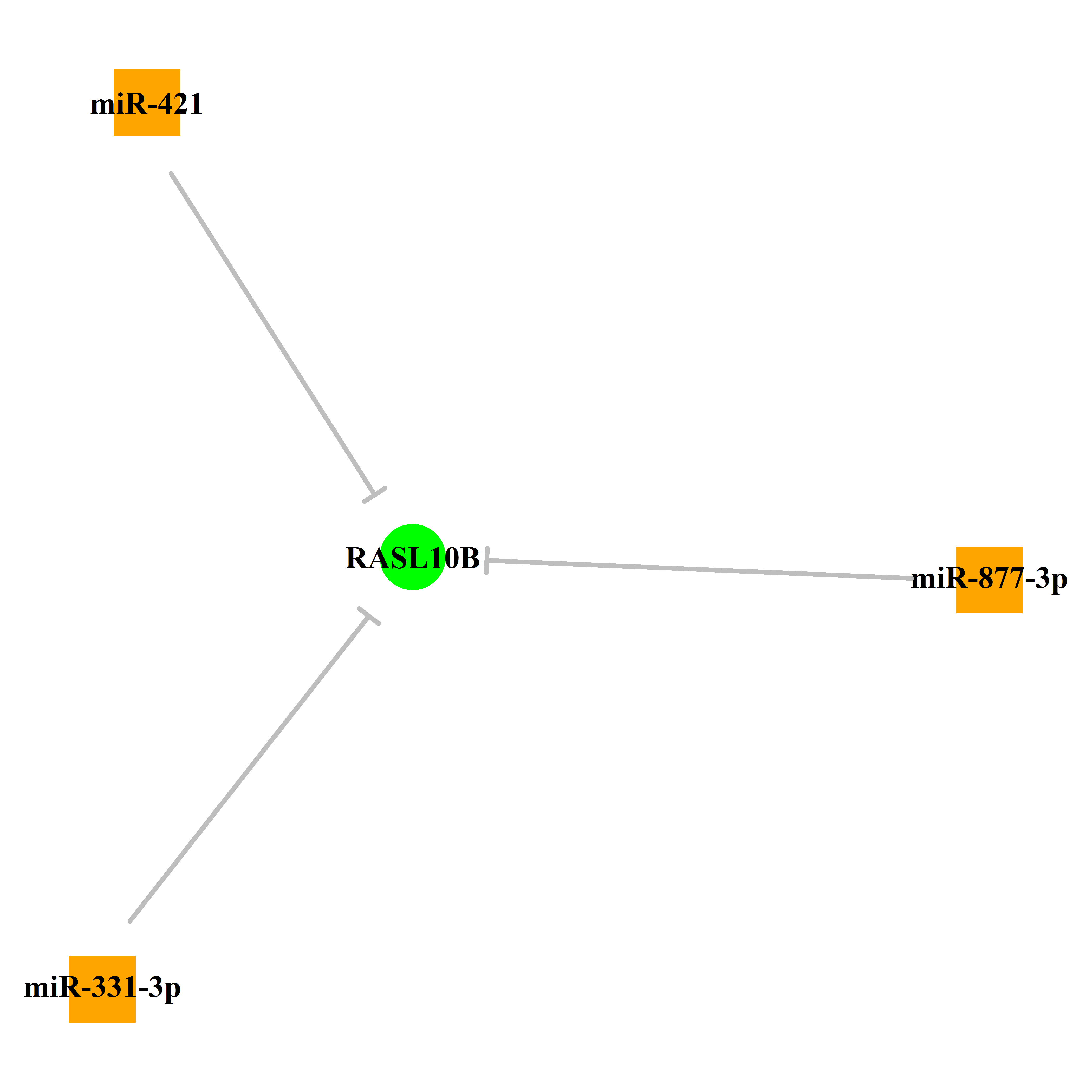 Experimentally validated miRNA-TS gene regulation information.