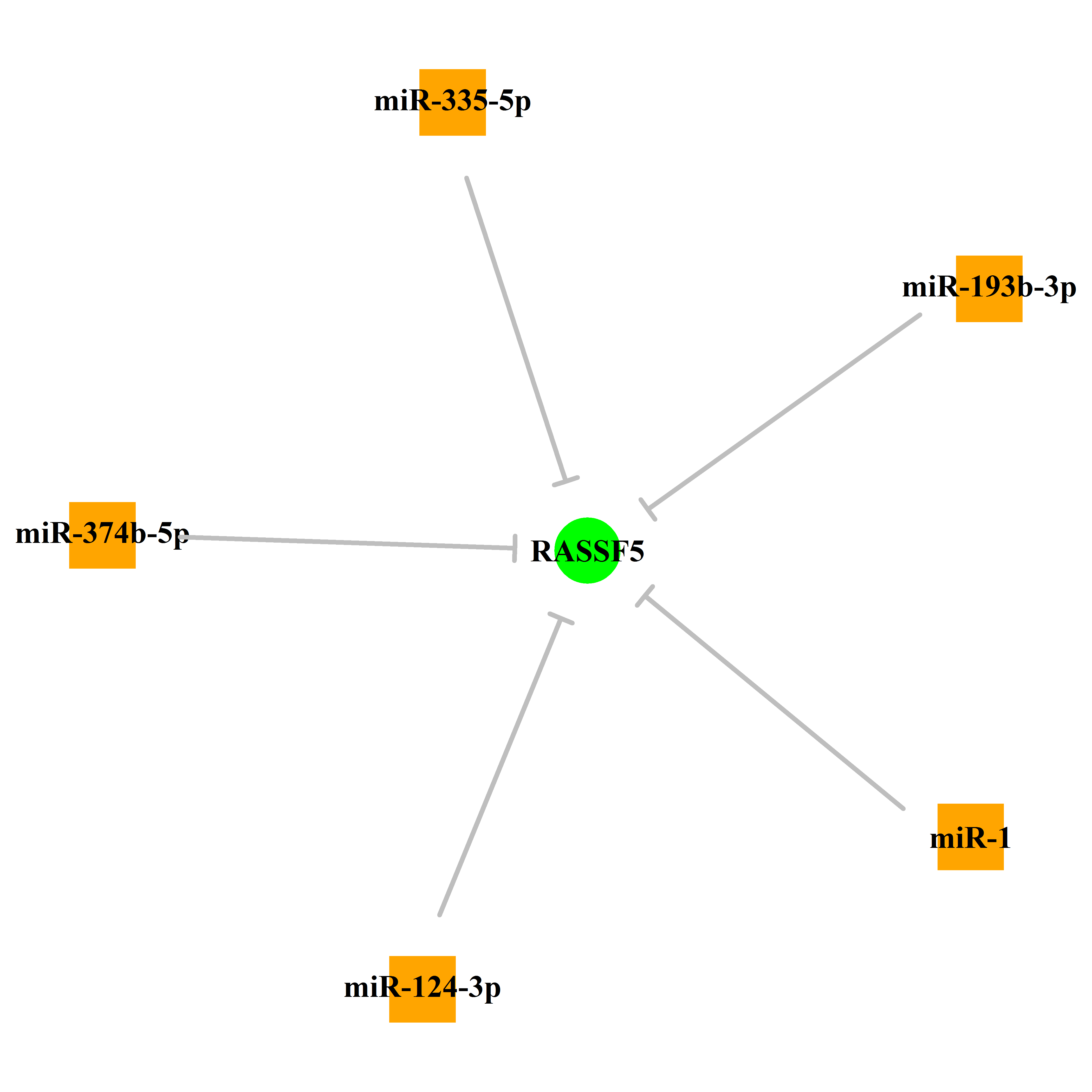 Experimentally validated miRNA-TS gene regulation information.