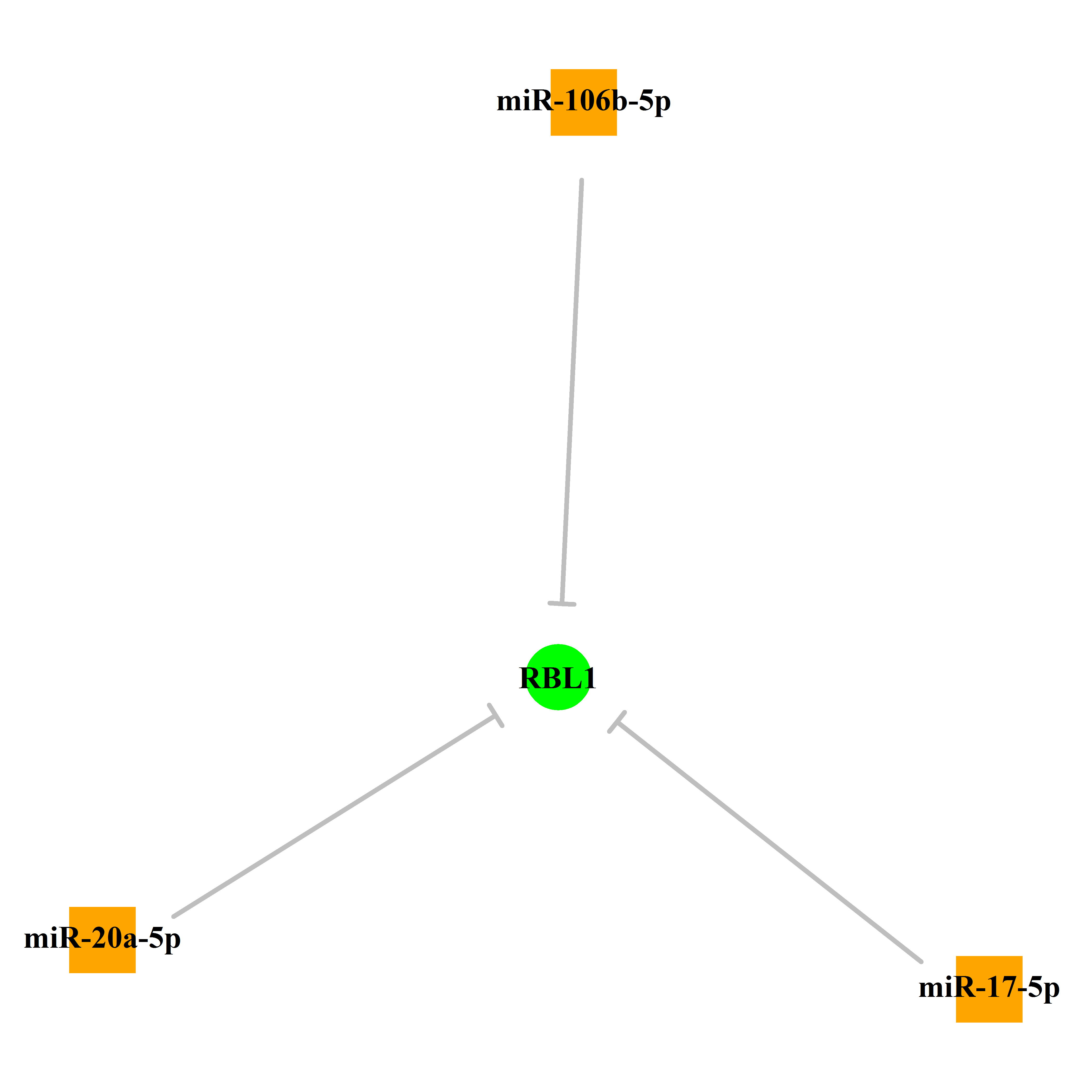 Experimentally validated miRNA-TS gene regulation information.