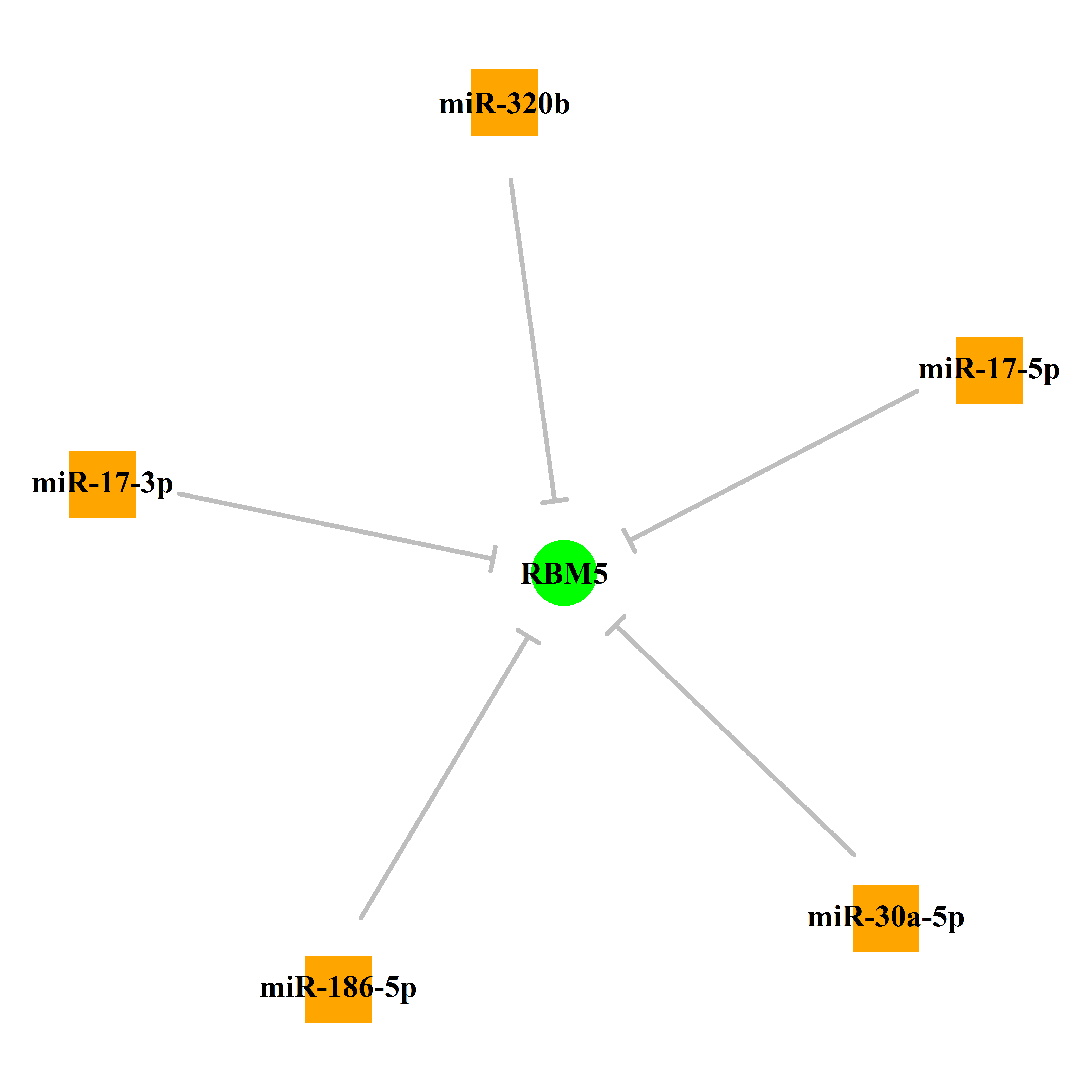 Experimentally validated miRNA-TS gene regulation information.