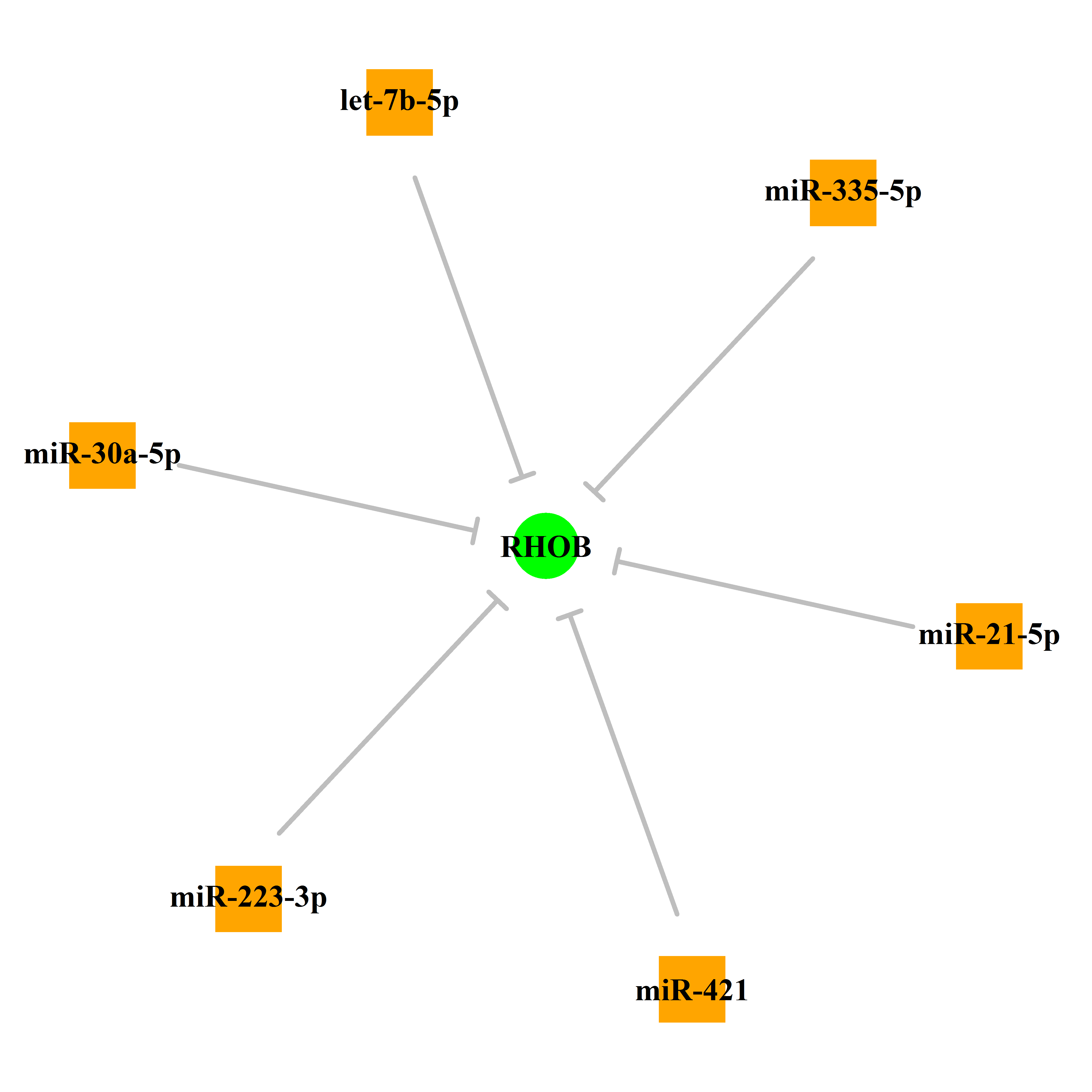 Experimentally validated miRNA-TS gene regulation information.