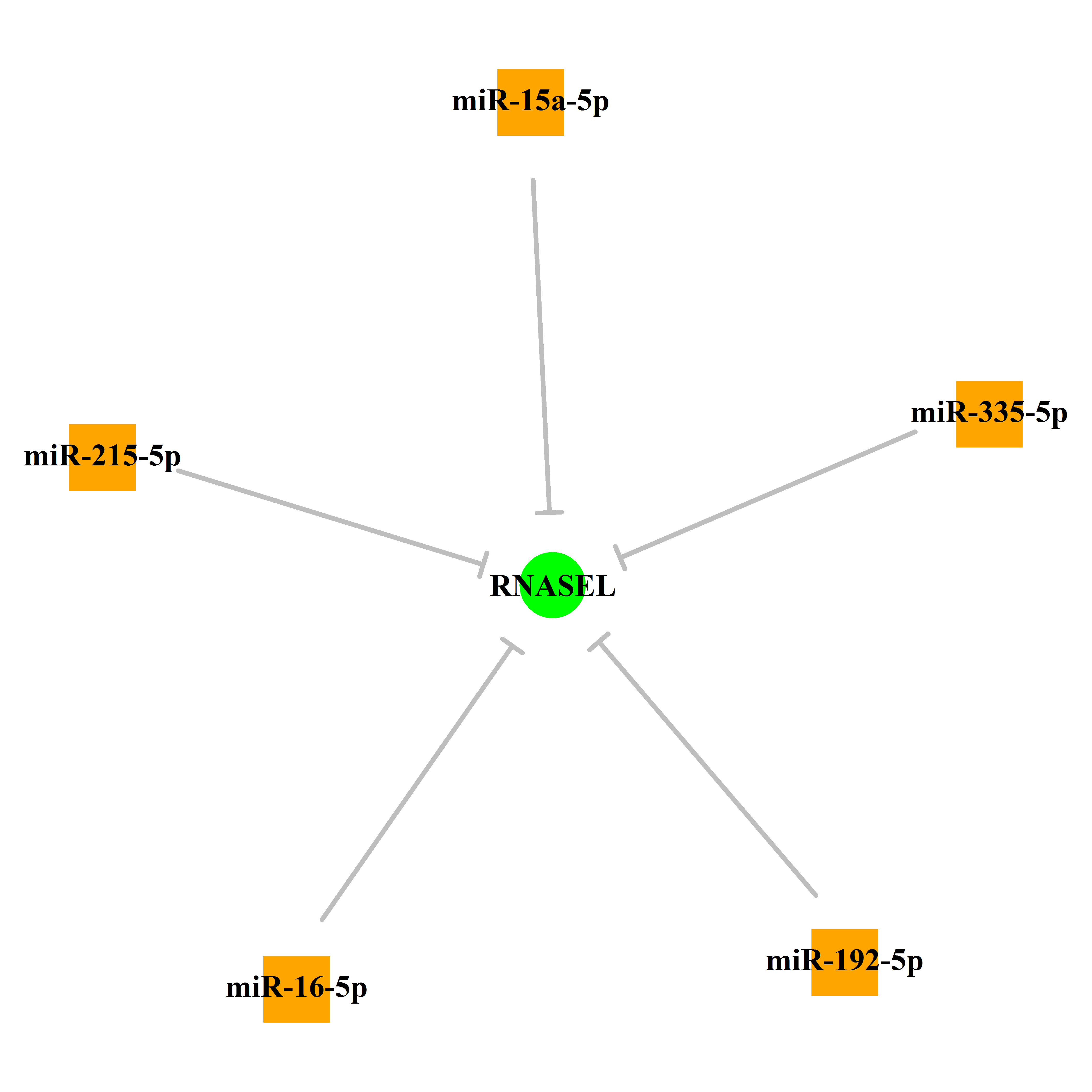 Experimentally validated miRNA-TS gene regulation information.