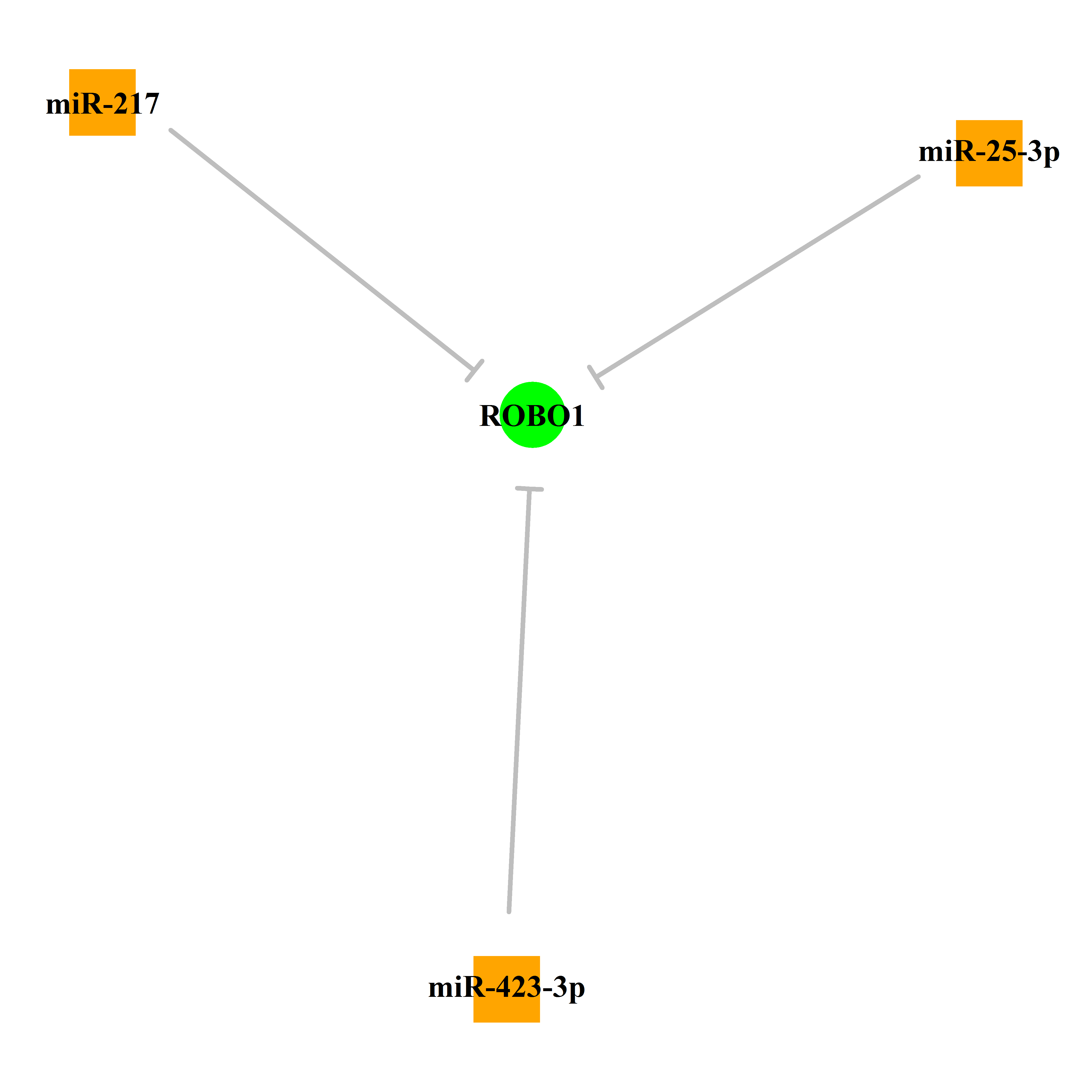 Experimentally validated miRNA-TS gene regulation information.