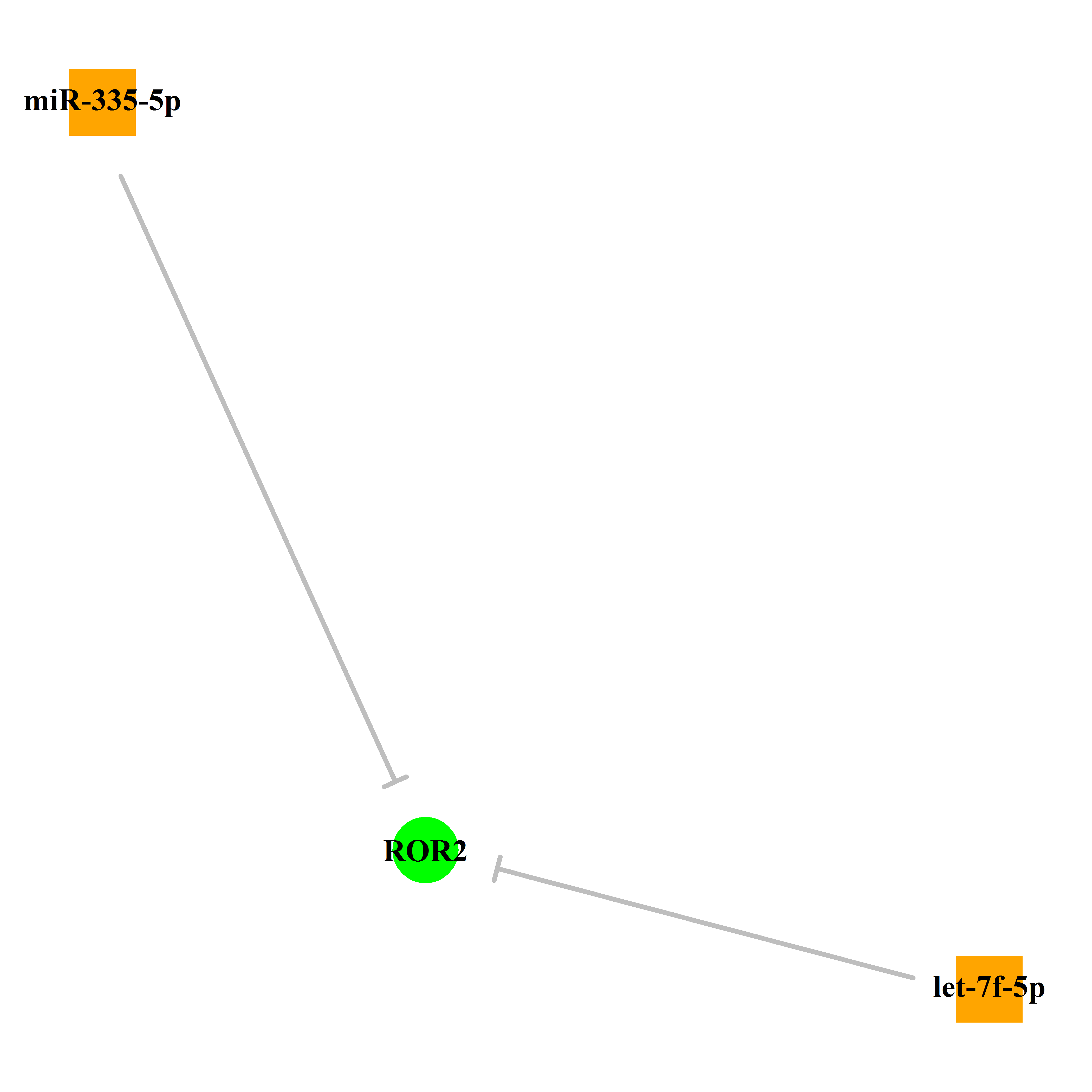 Experimentally validated miRNA-TS gene regulation information.