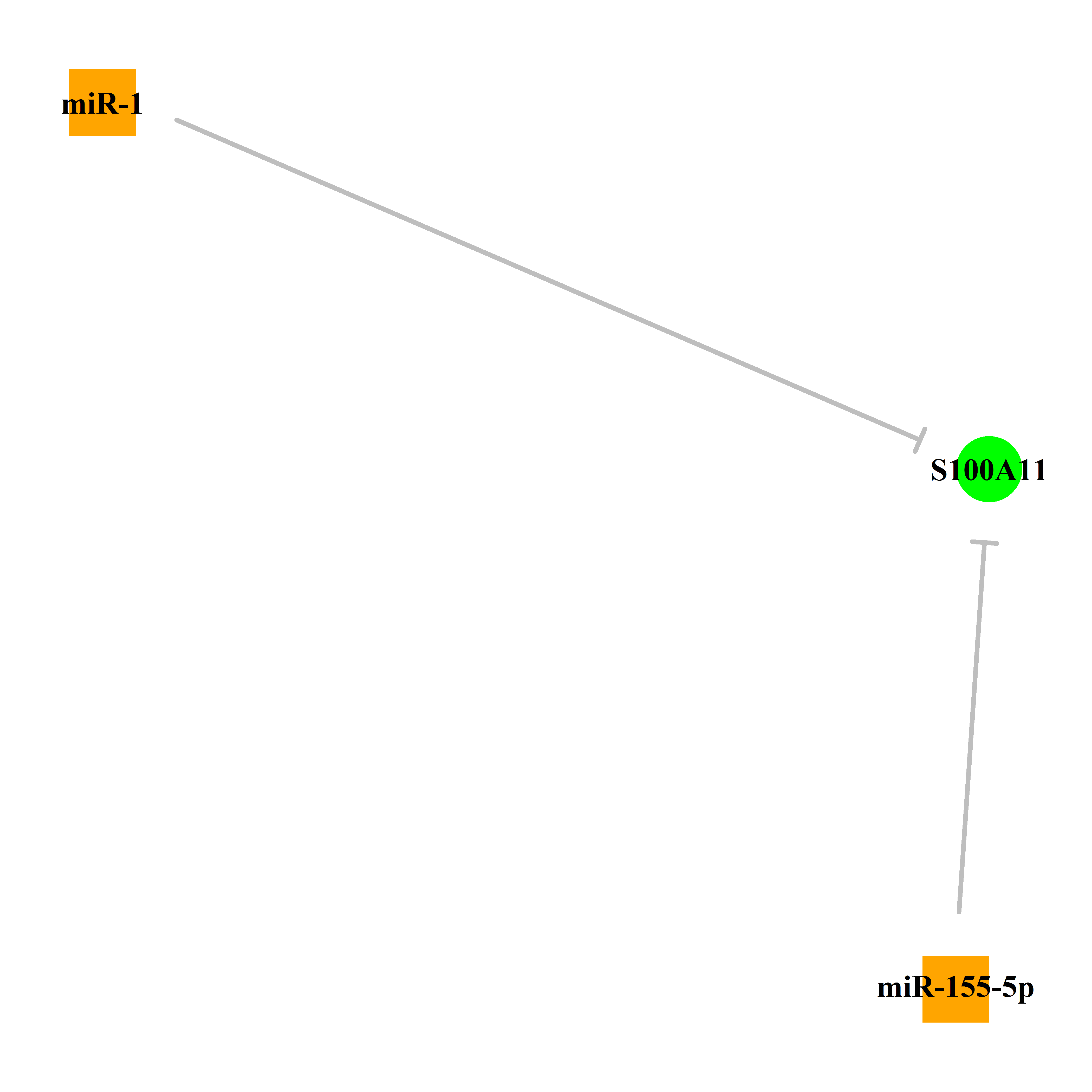 Experimentally validated miRNA-TS gene regulation information.