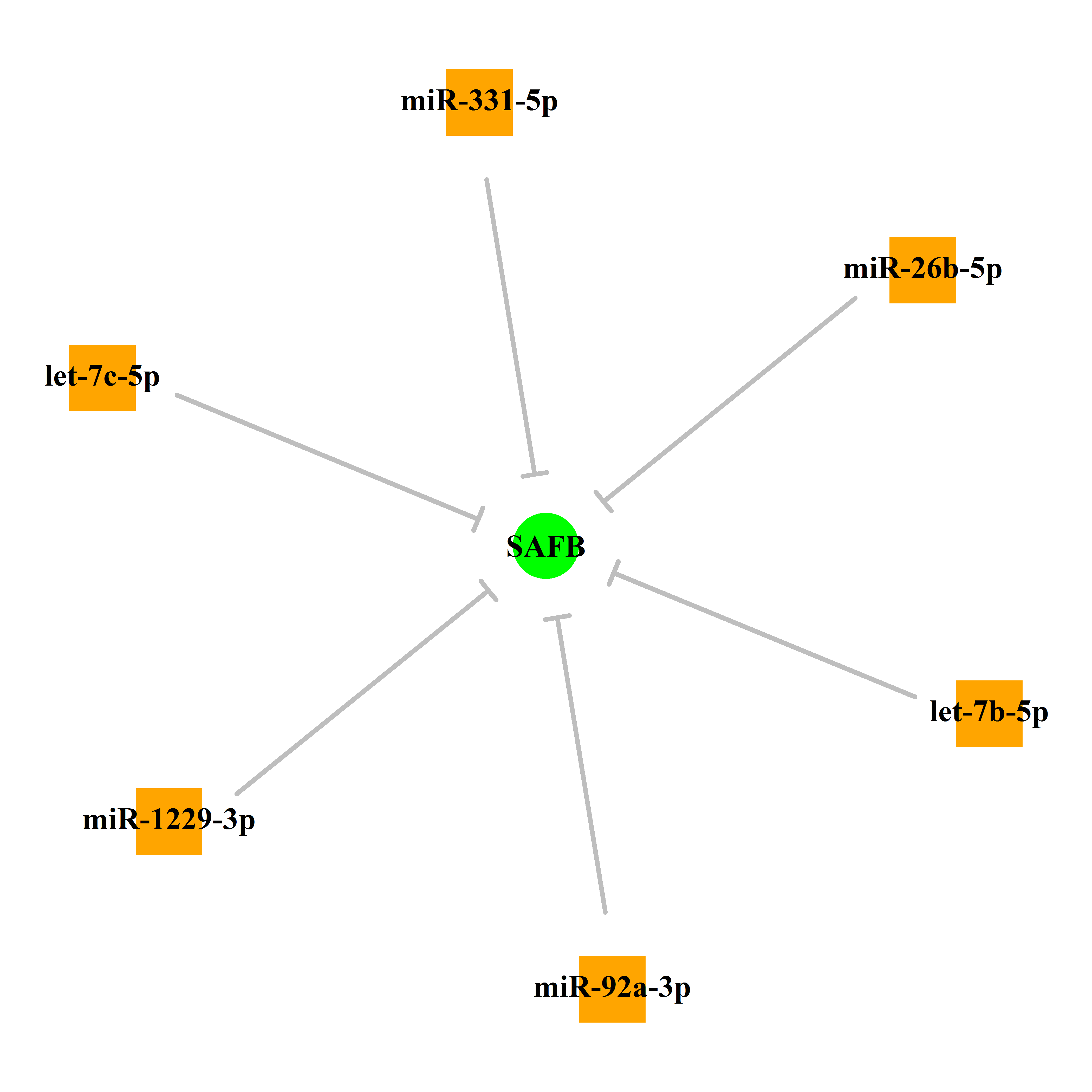 Experimentally validated miRNA-TS gene regulation information.