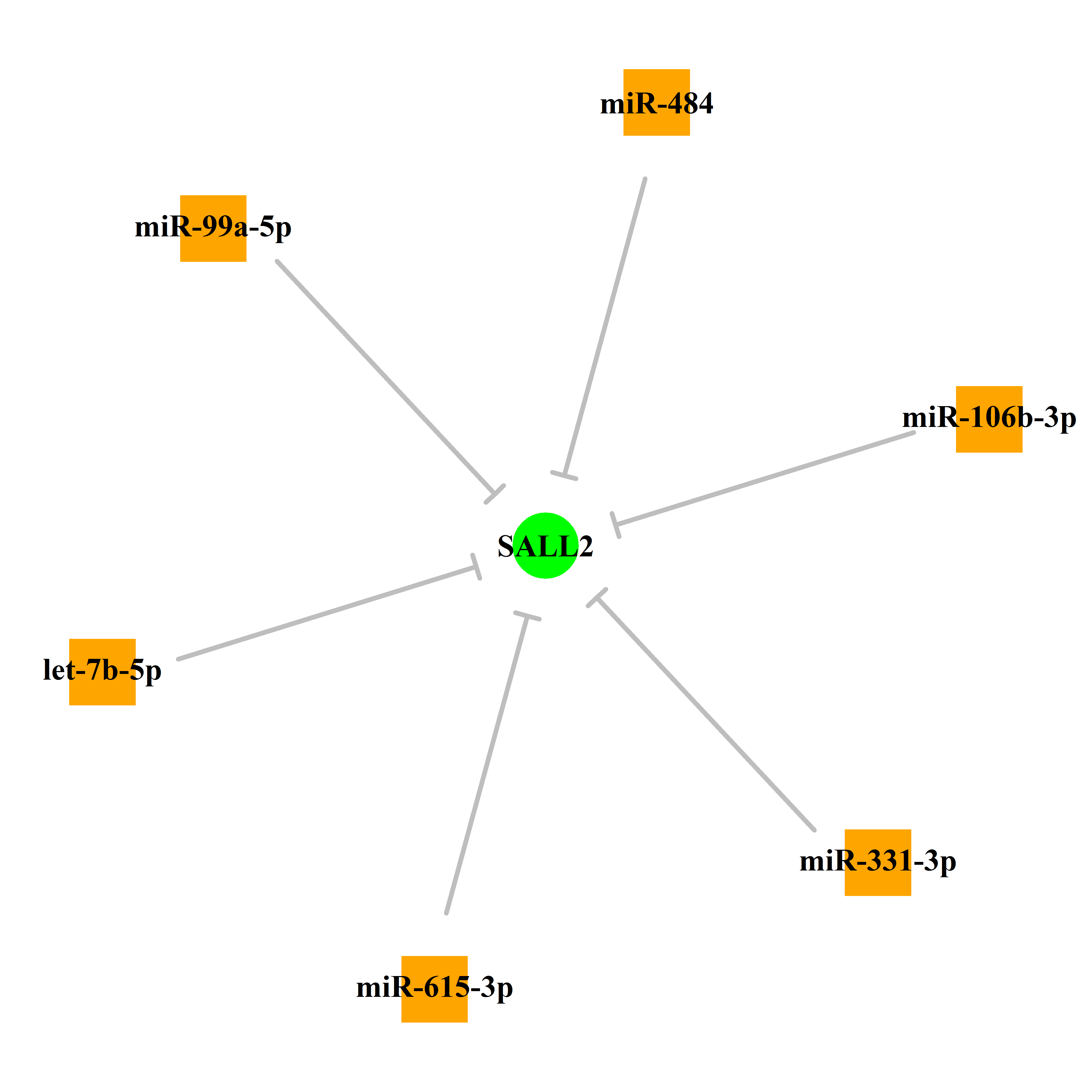 Experimentally validated miRNA-TS gene regulation information.