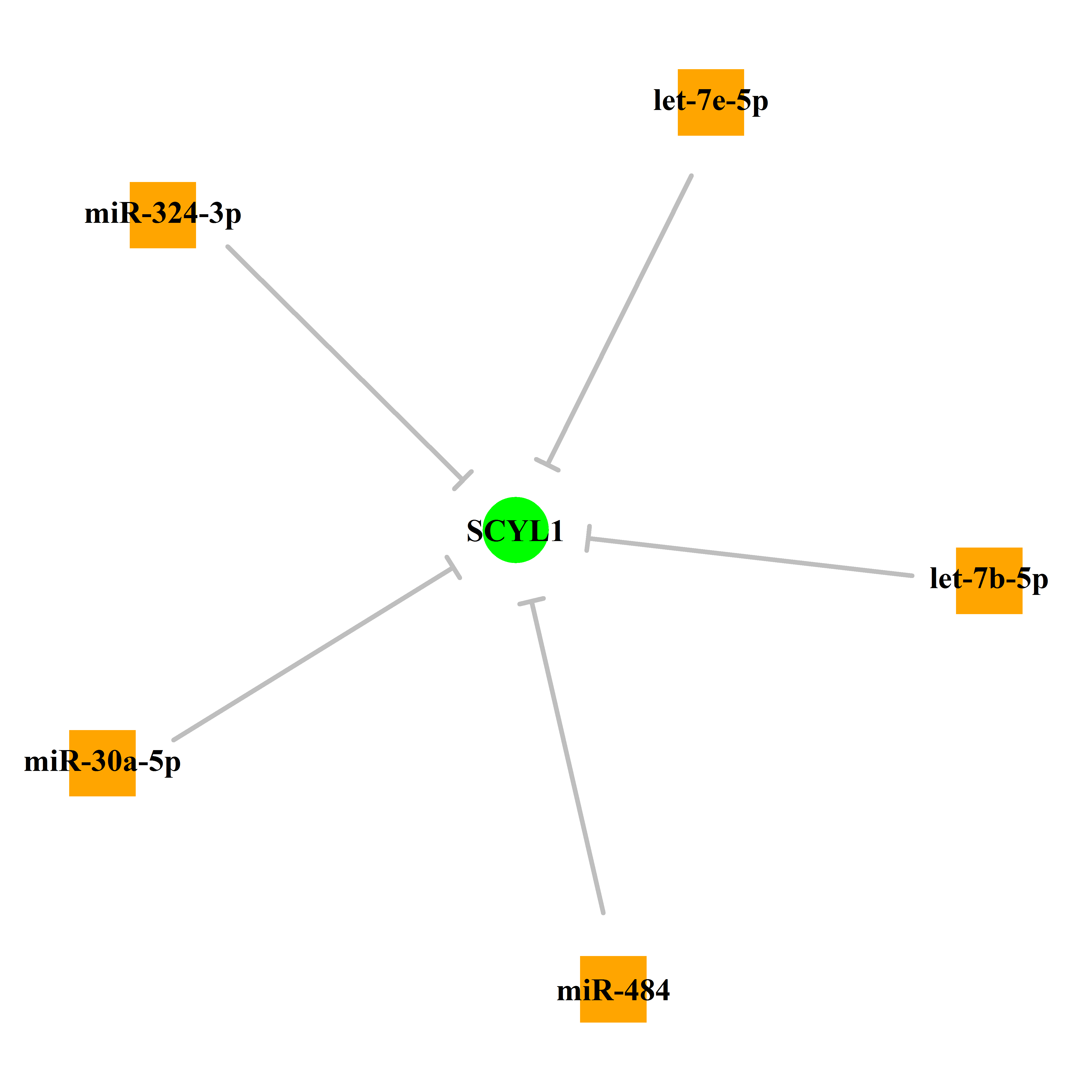 Experimentally validated miRNA-TS gene regulation information.