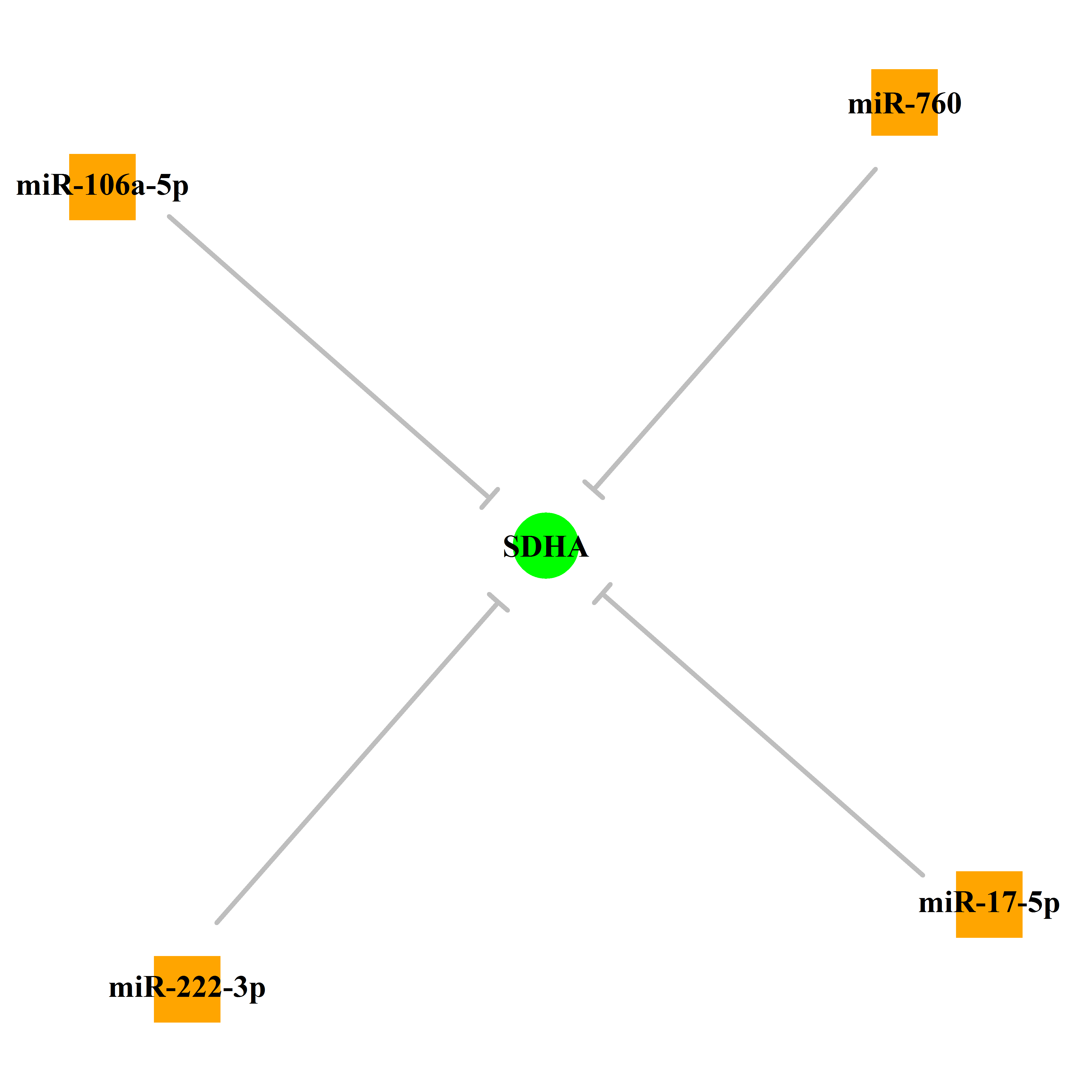 Experimentally validated miRNA-TS gene regulation information.