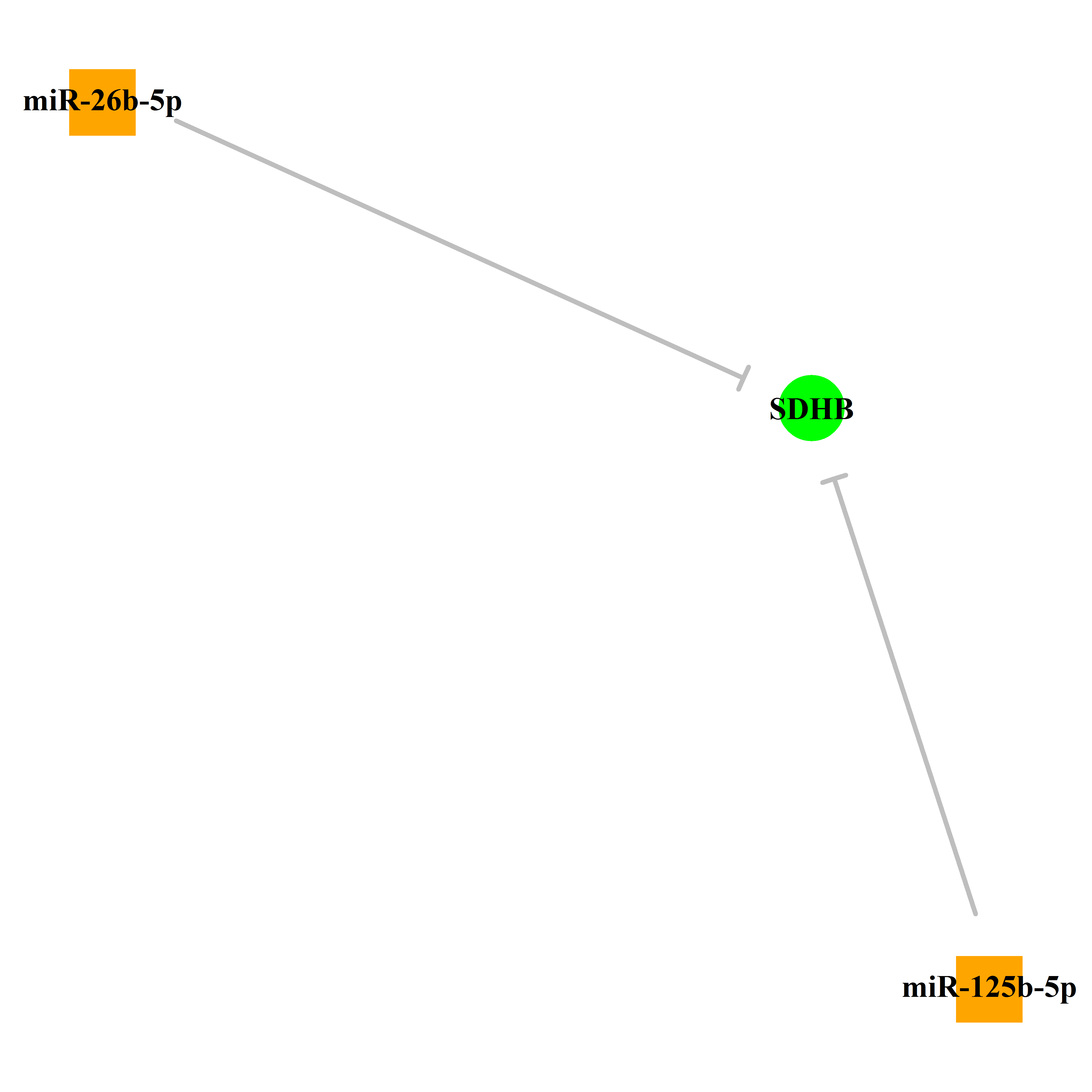 Experimentally validated miRNA-TS gene regulation information.