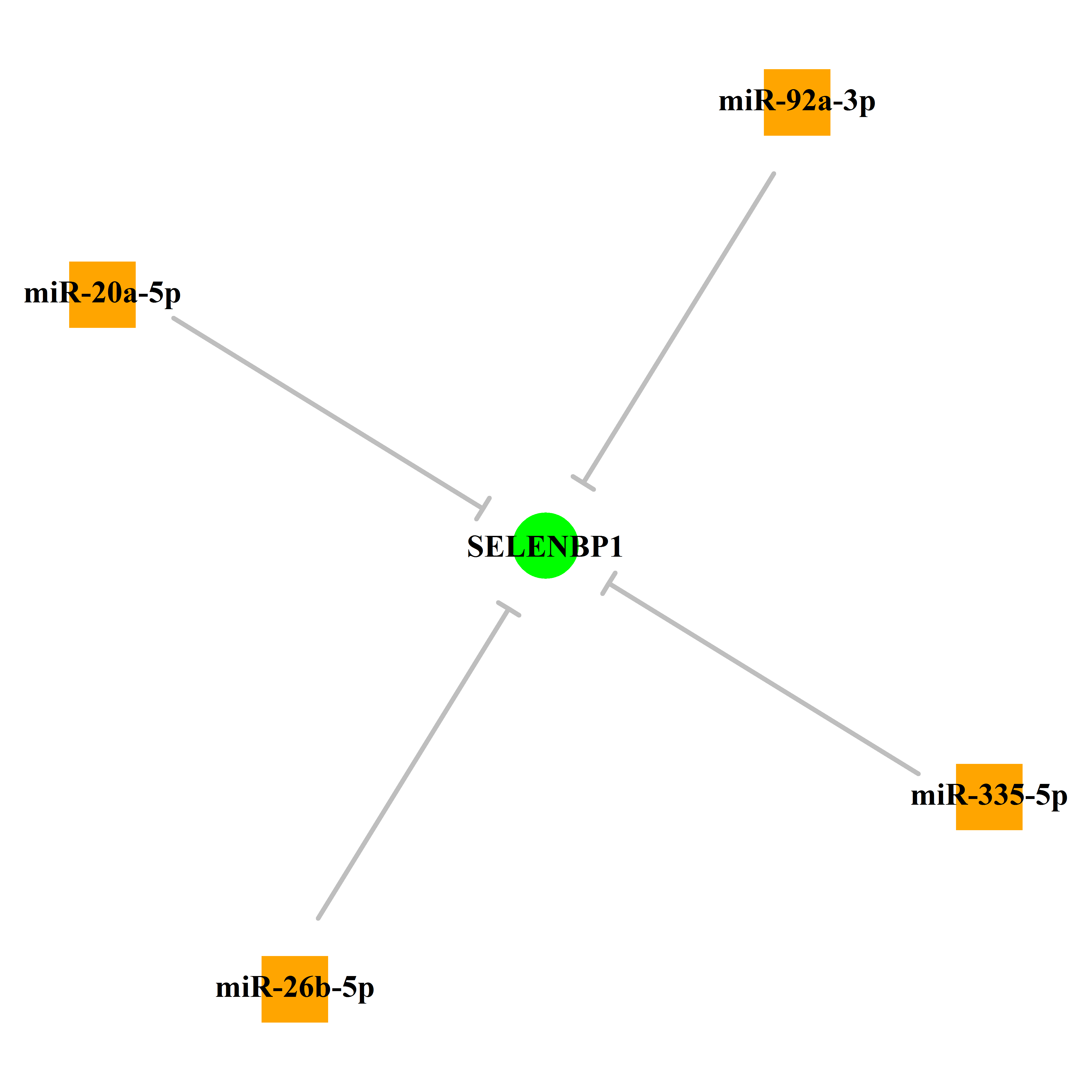 Experimentally validated miRNA-TS gene regulation information.