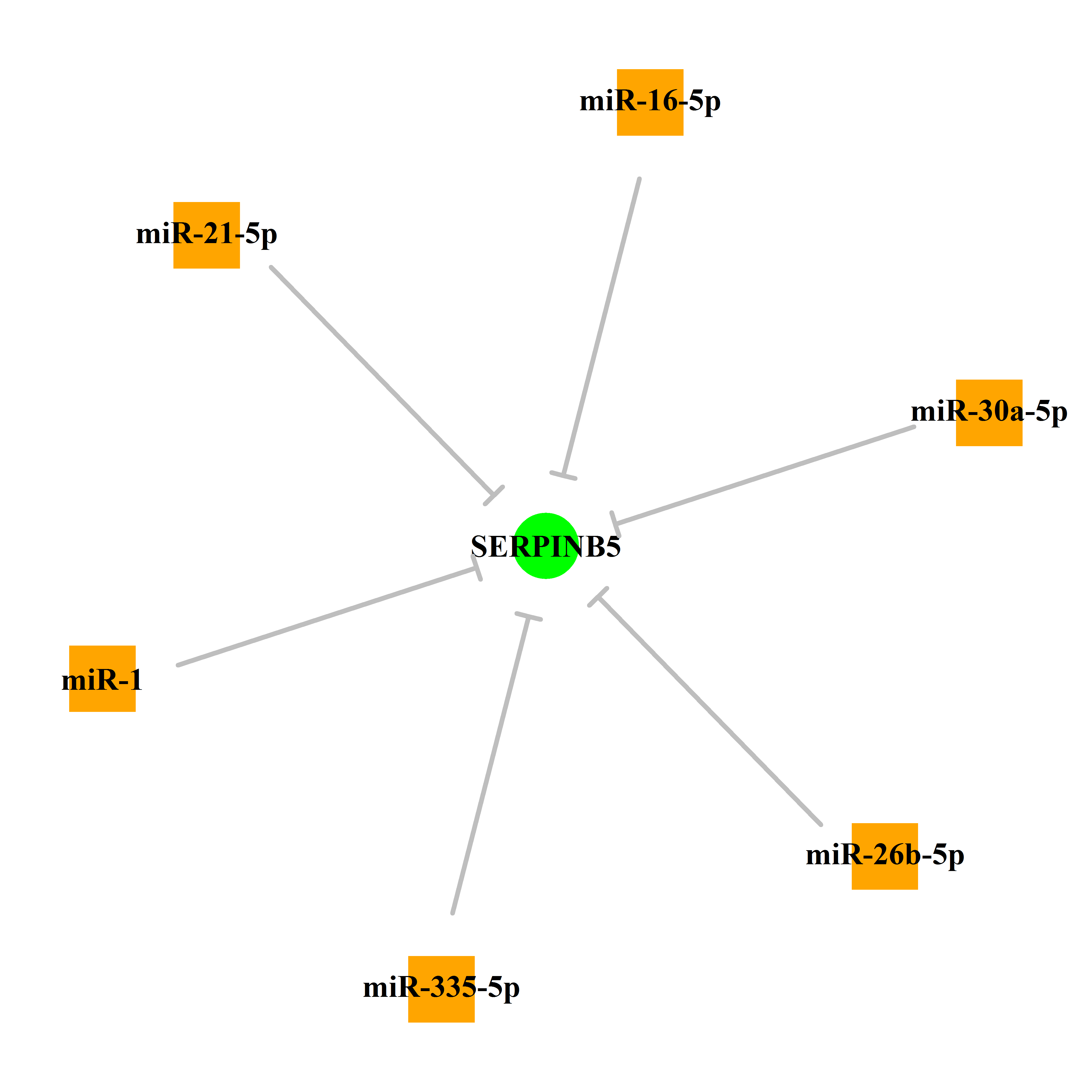 Experimentally validated miRNA-TS gene regulation information.