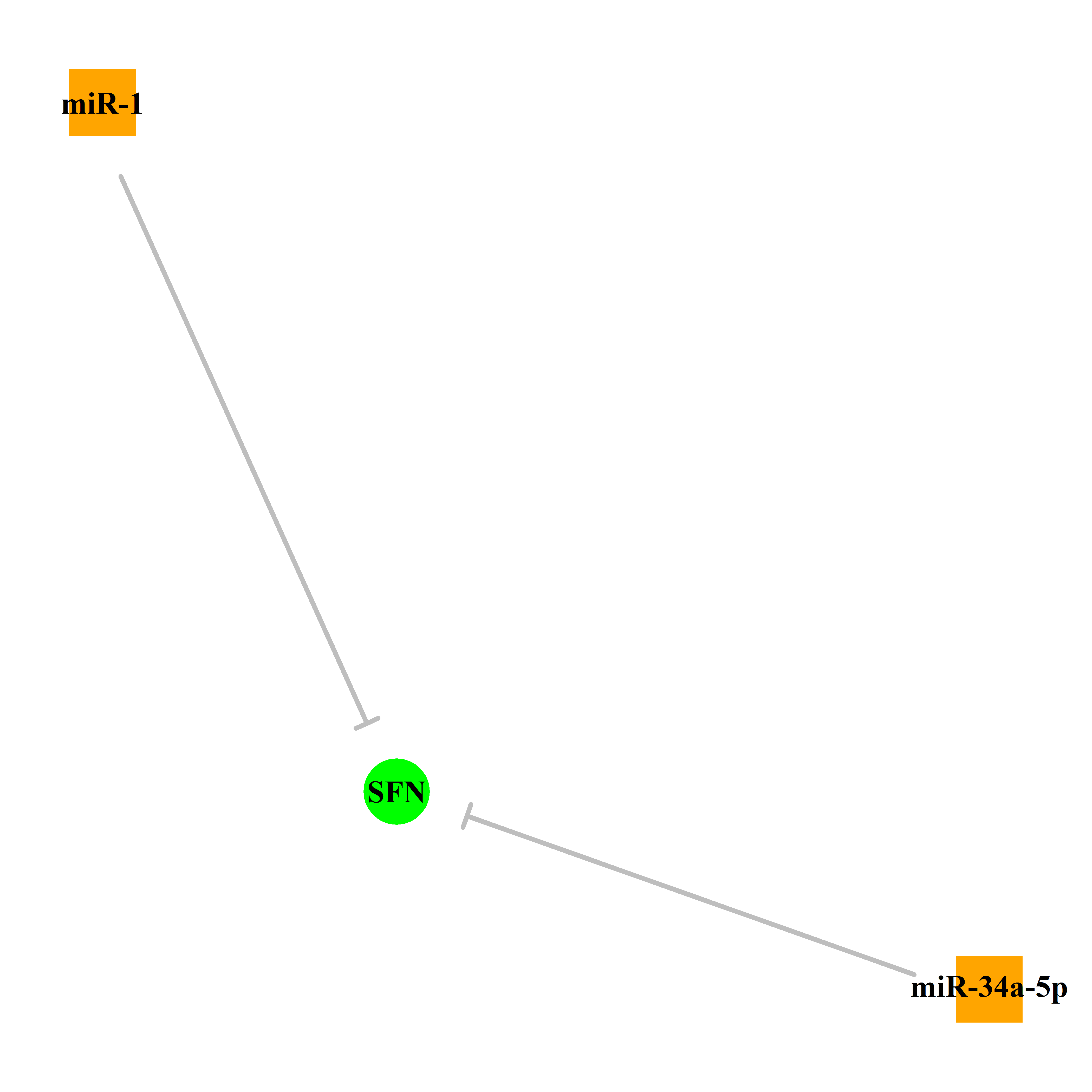 Experimentally validated miRNA-TS gene regulation information.