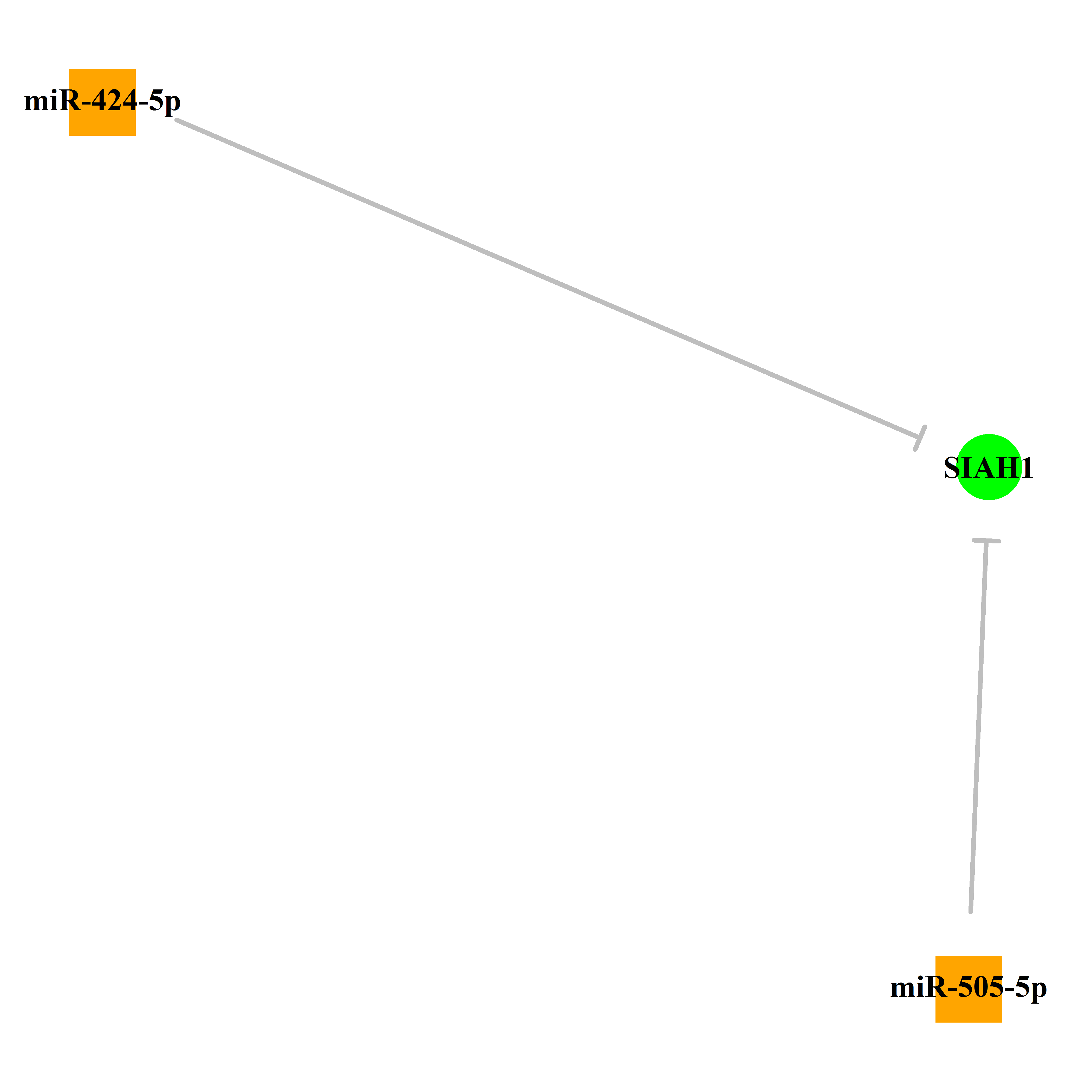 Experimentally validated miRNA-TS gene regulation information.