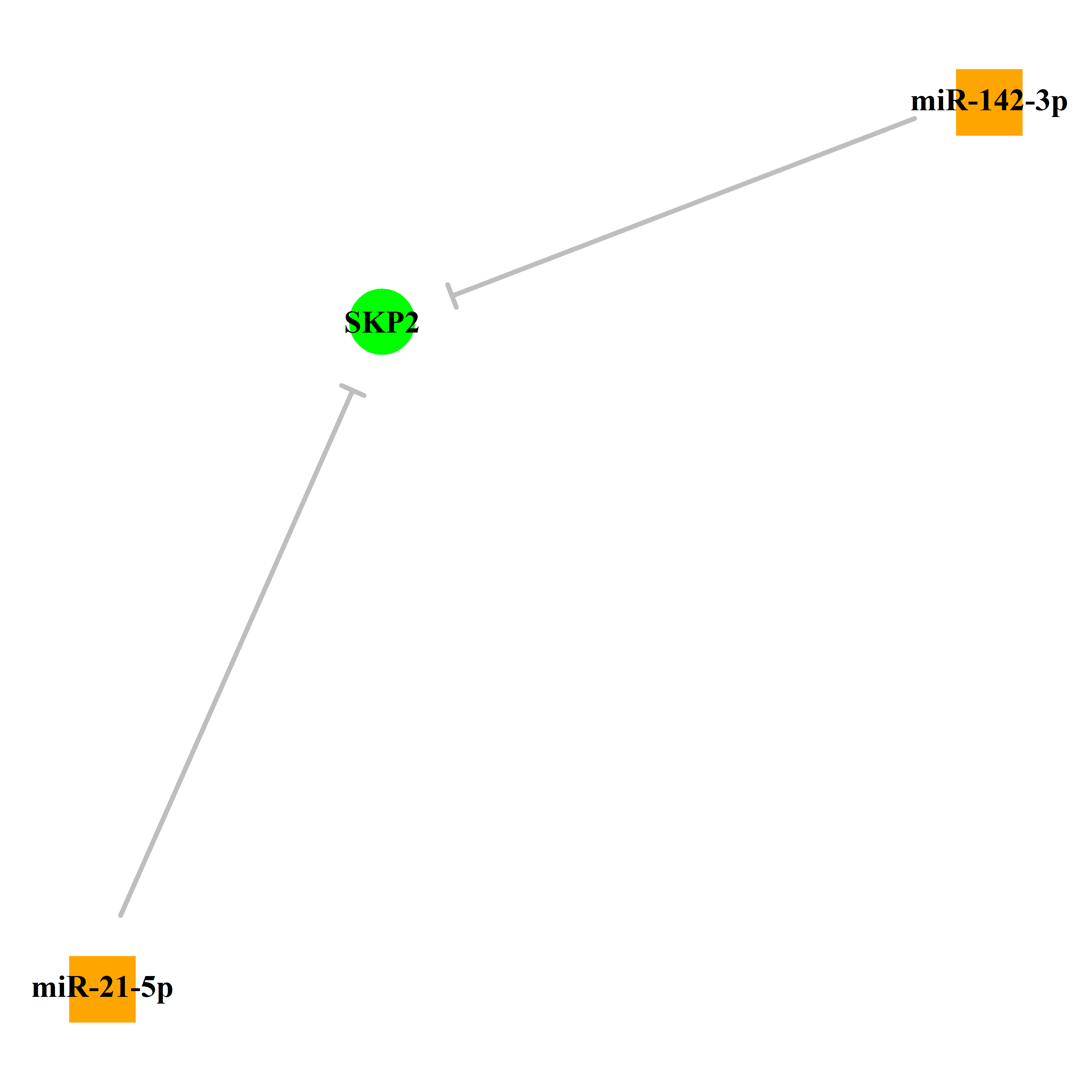 Experimentally validated miRNA-TS gene regulation information.