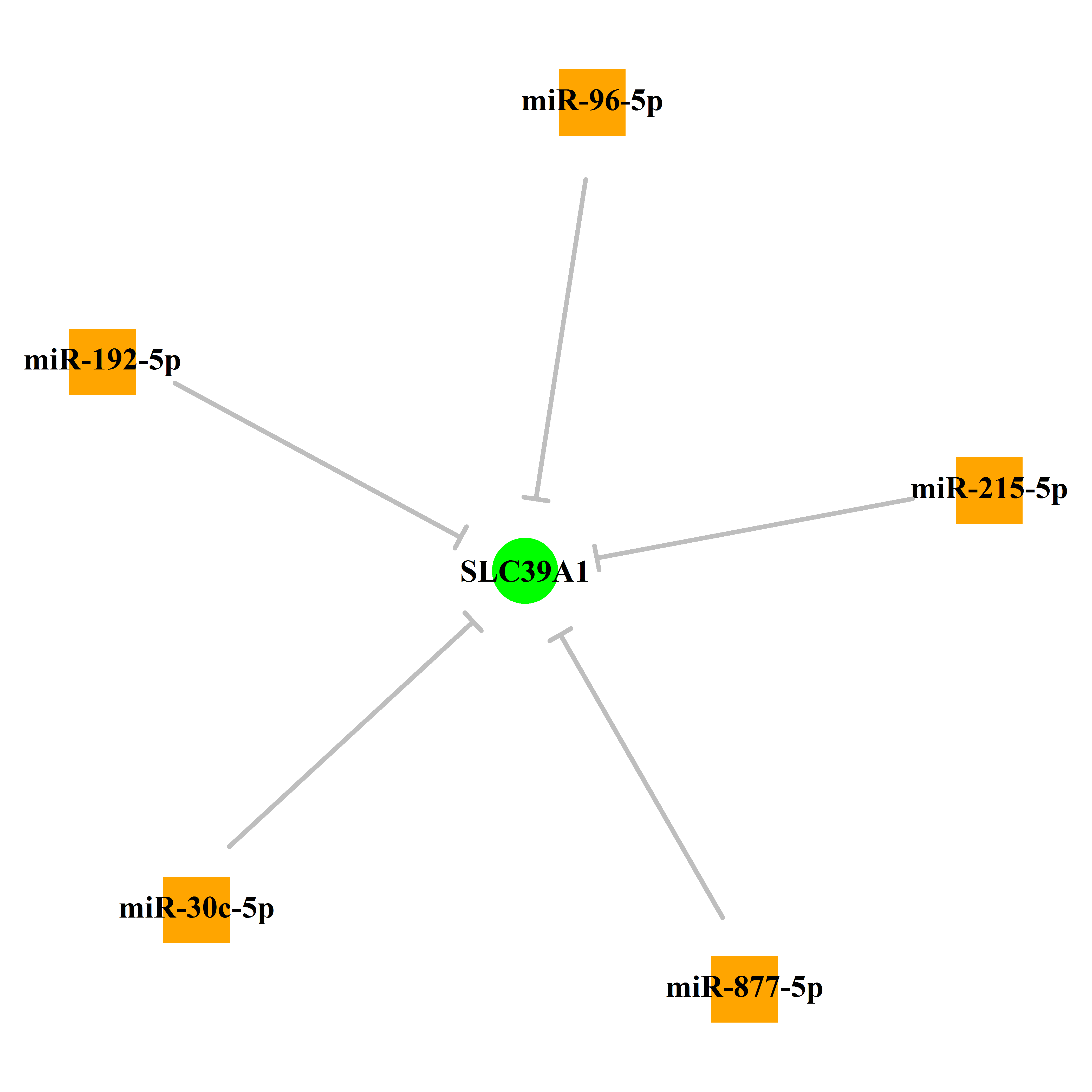 Experimentally validated miRNA-TS gene regulation information.