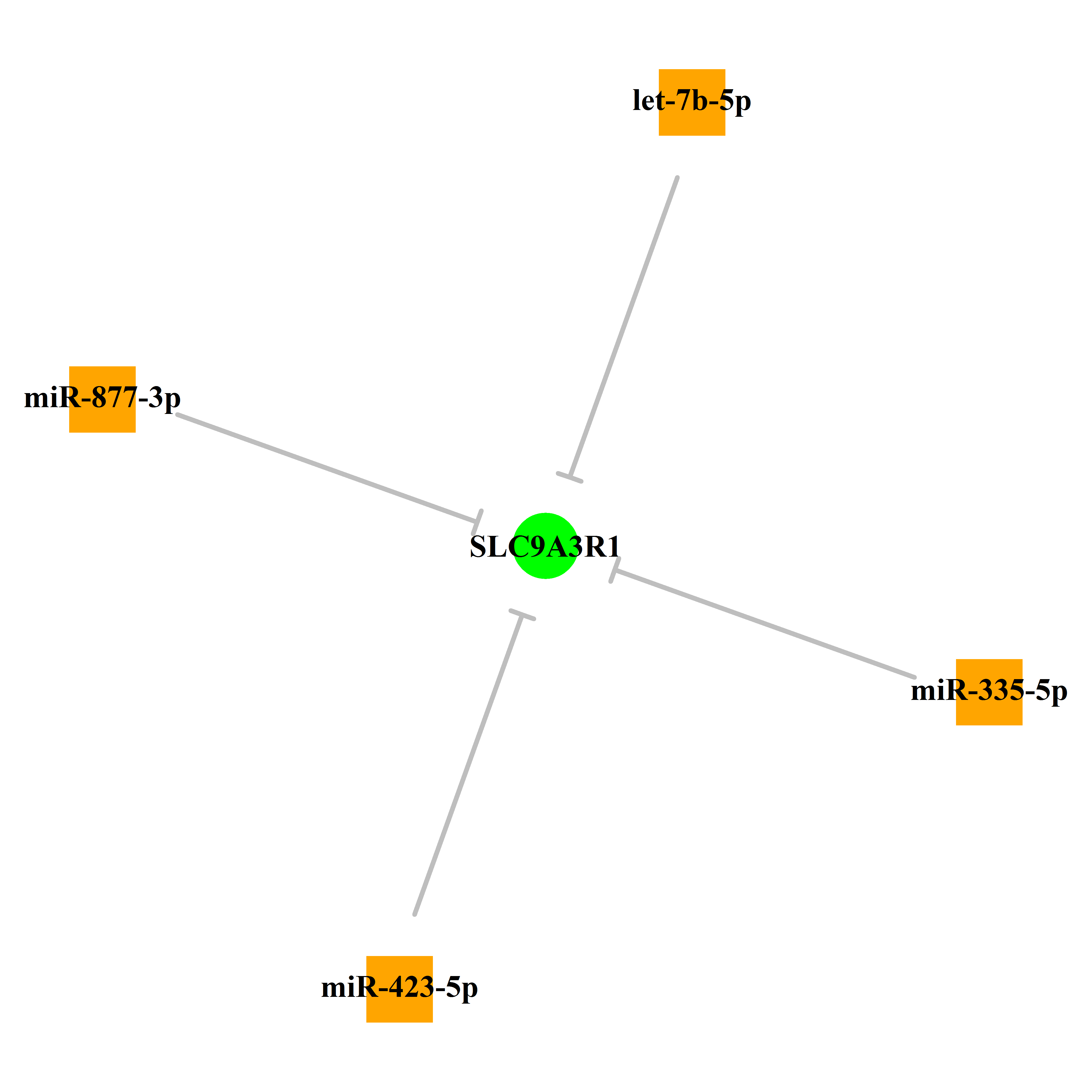 Experimentally validated miRNA-TS gene regulation information.