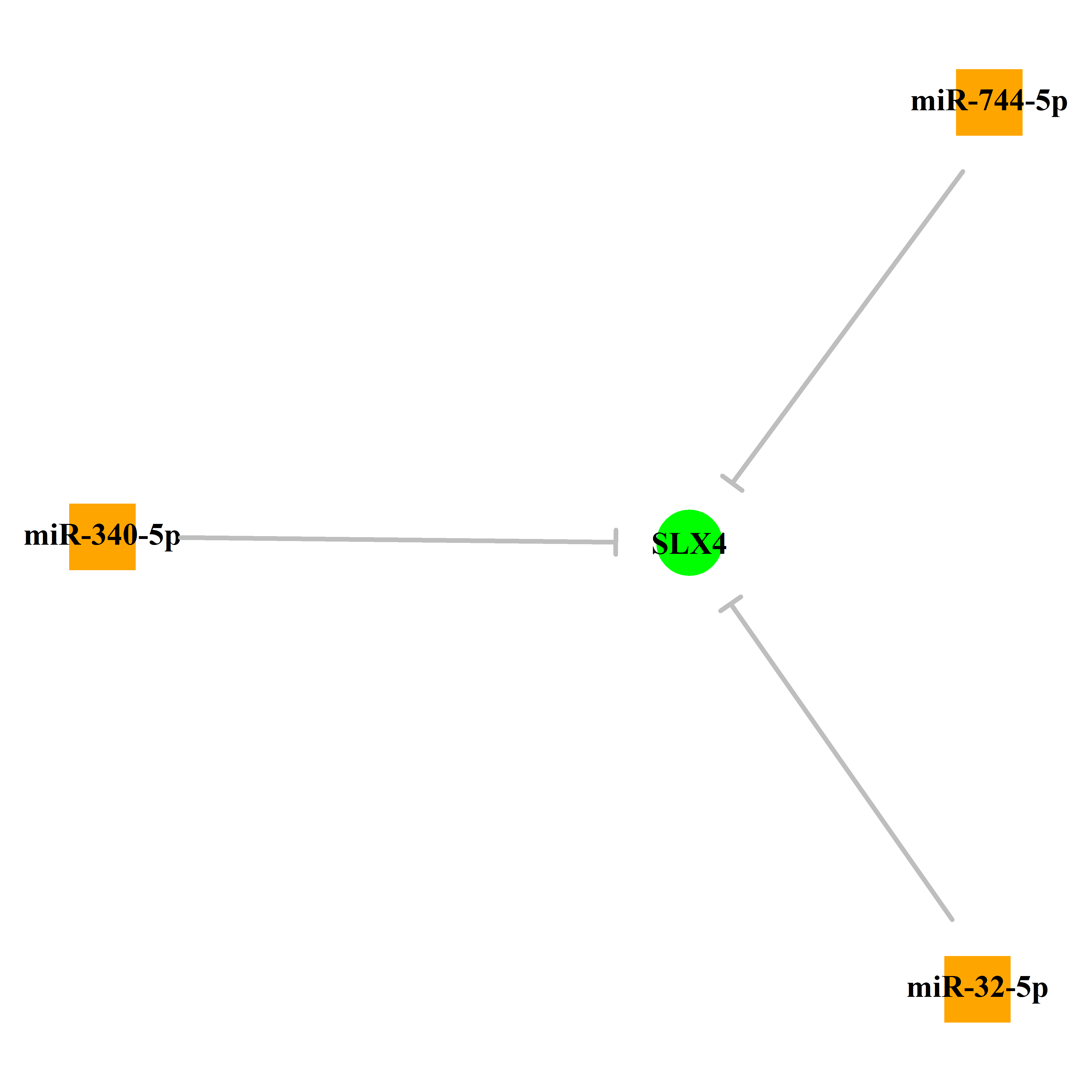 Experimentally validated miRNA-TS gene regulation information.