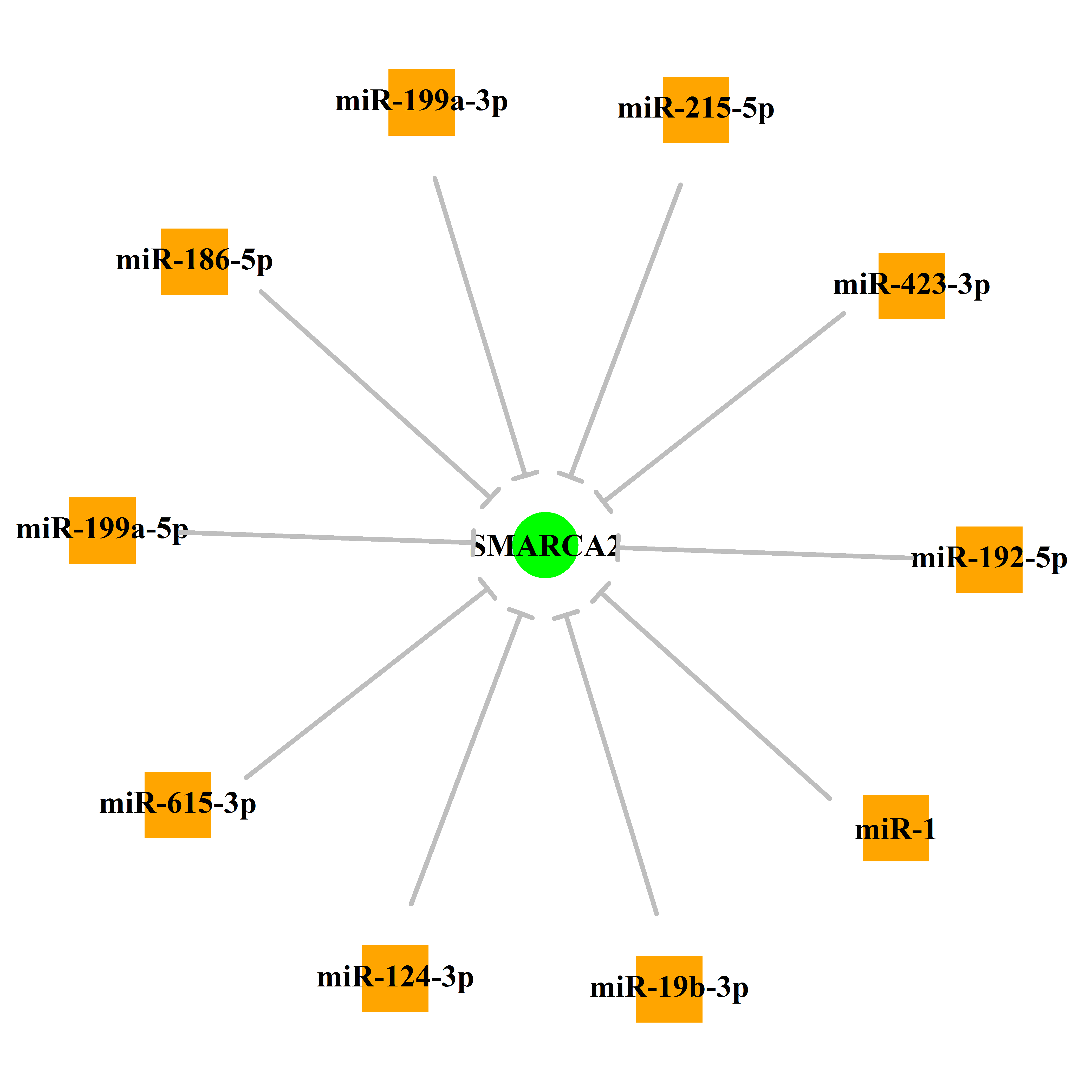 Experimentally validated miRNA-TS gene regulation information.