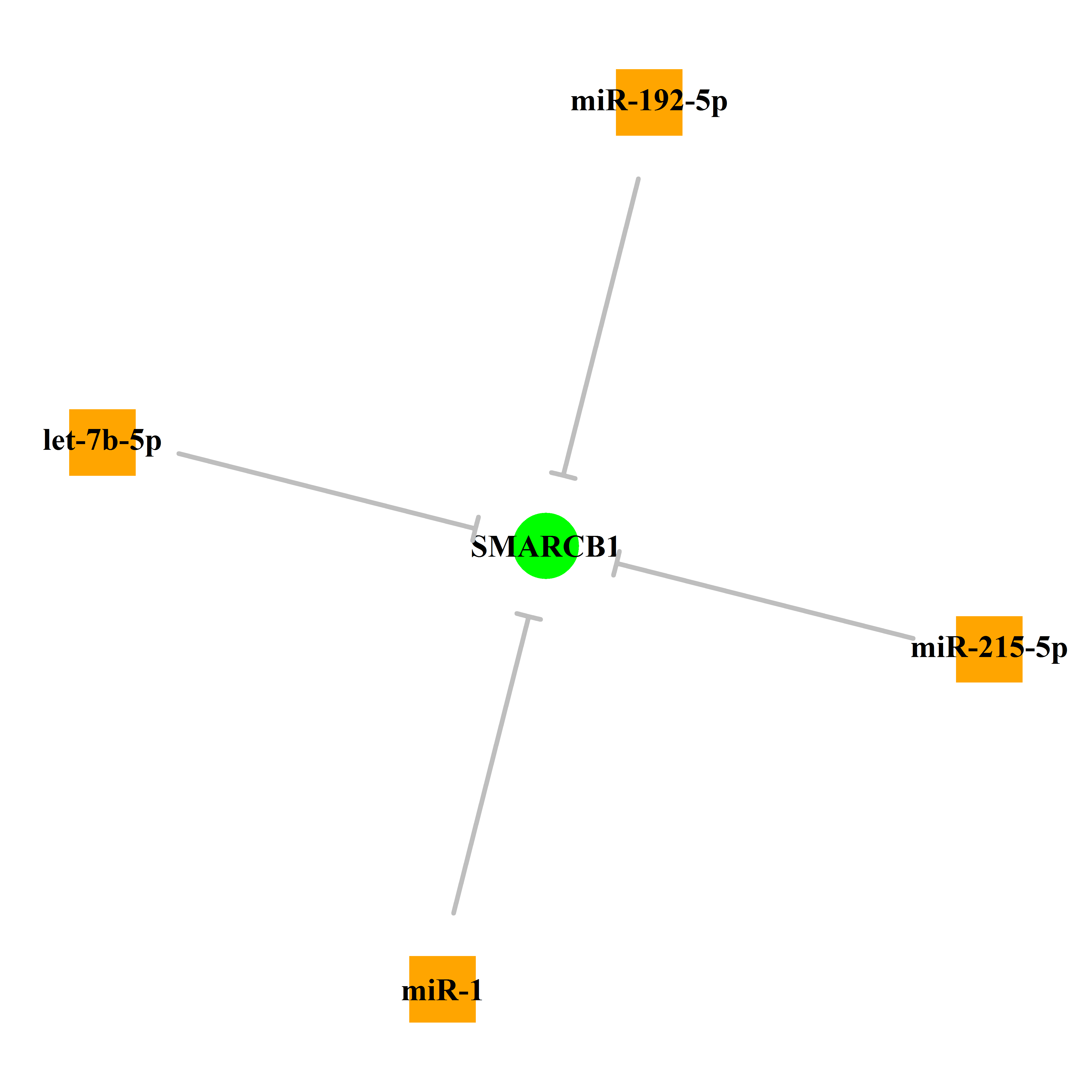 Experimentally validated miRNA-TS gene regulation information.