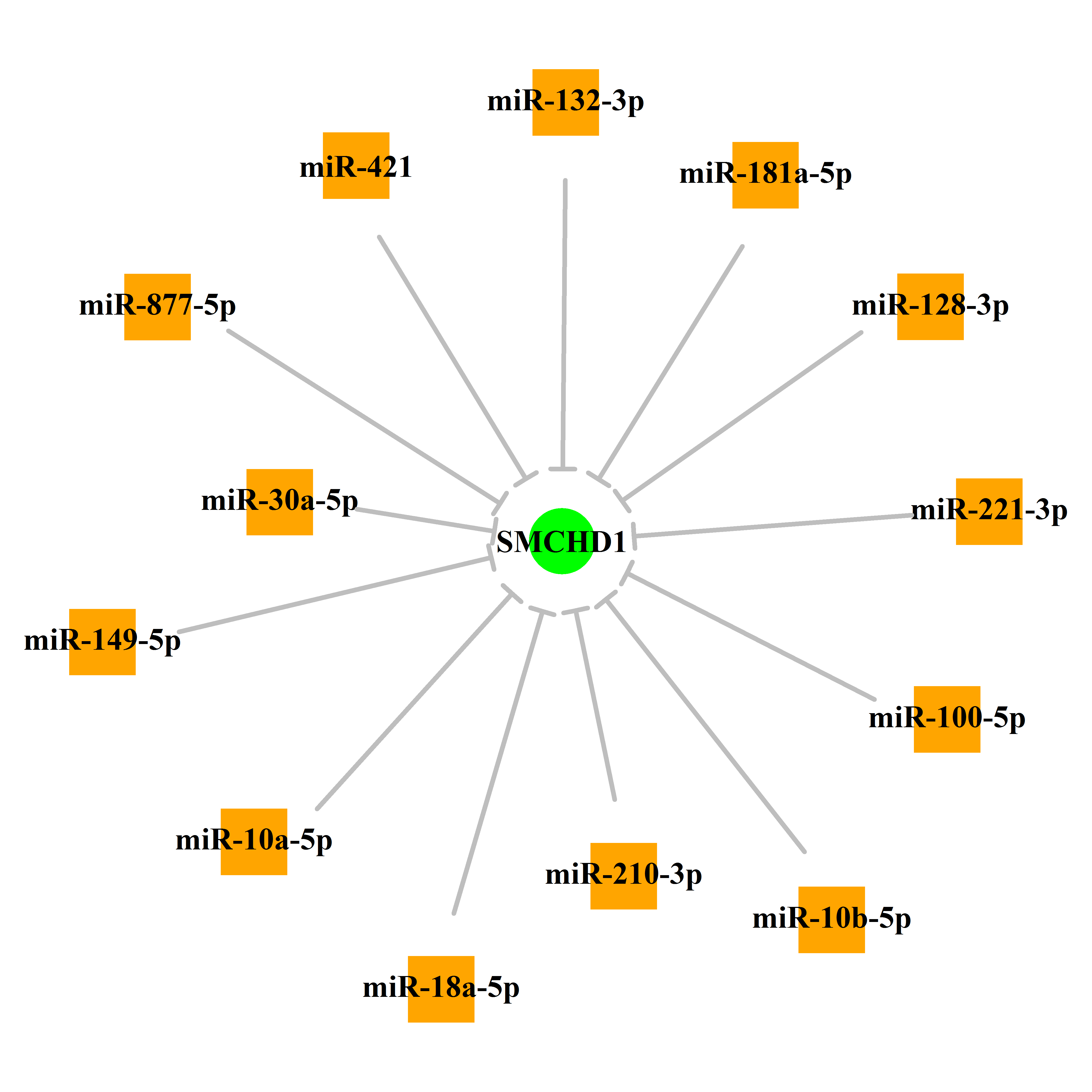 Experimentally validated miRNA-TS gene regulation information.