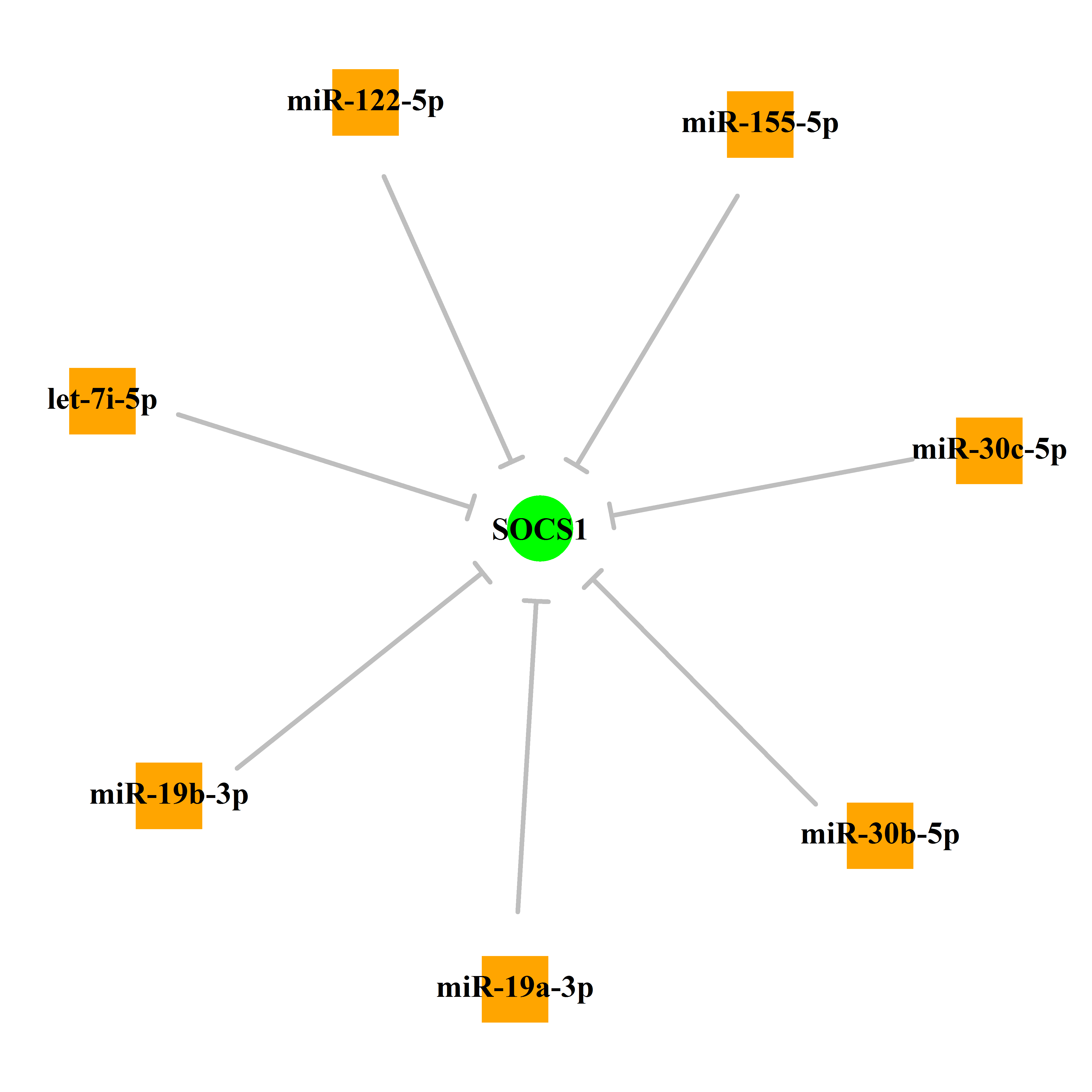 Experimentally validated miRNA-TS gene regulation information.