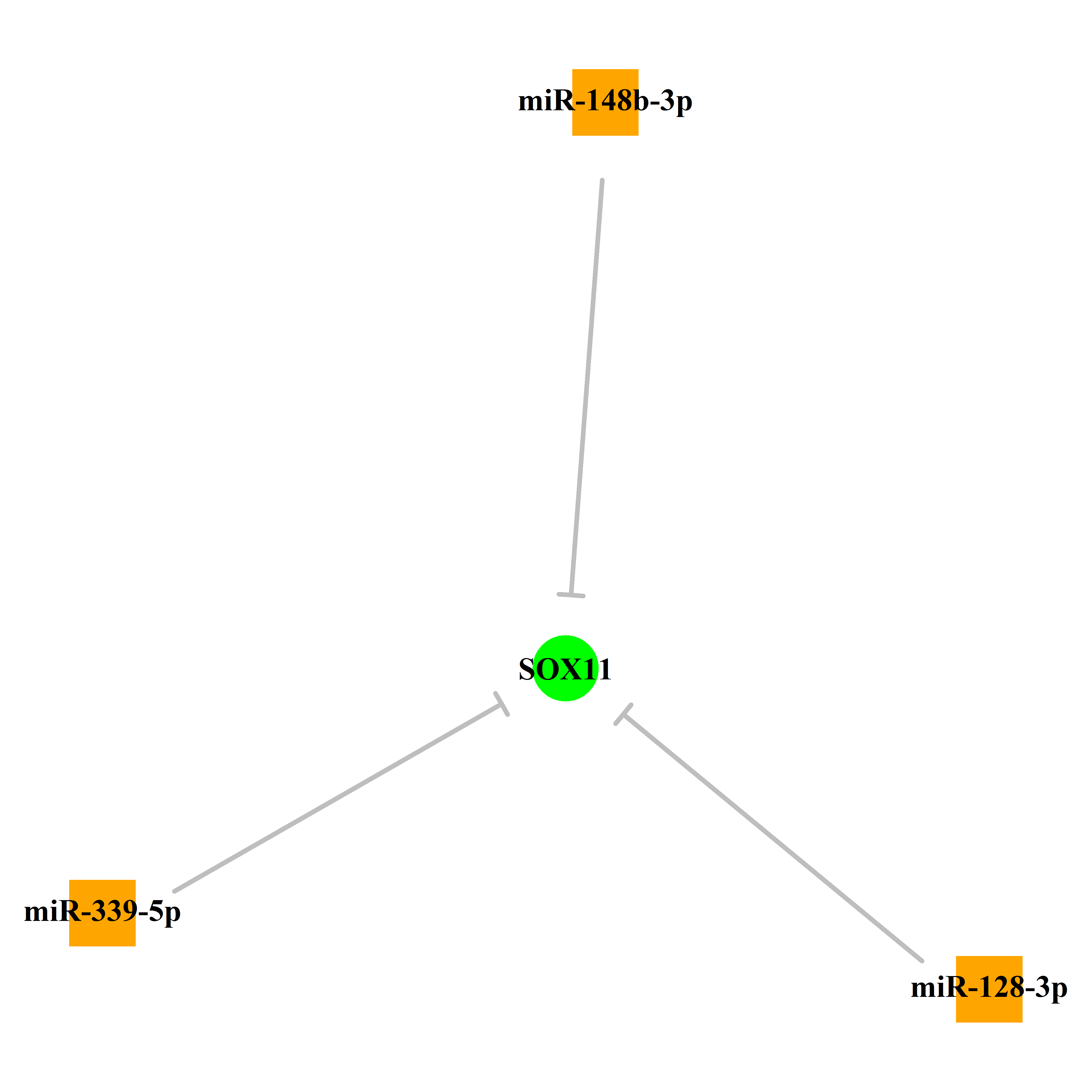 Experimentally validated miRNA-TS gene regulation information.