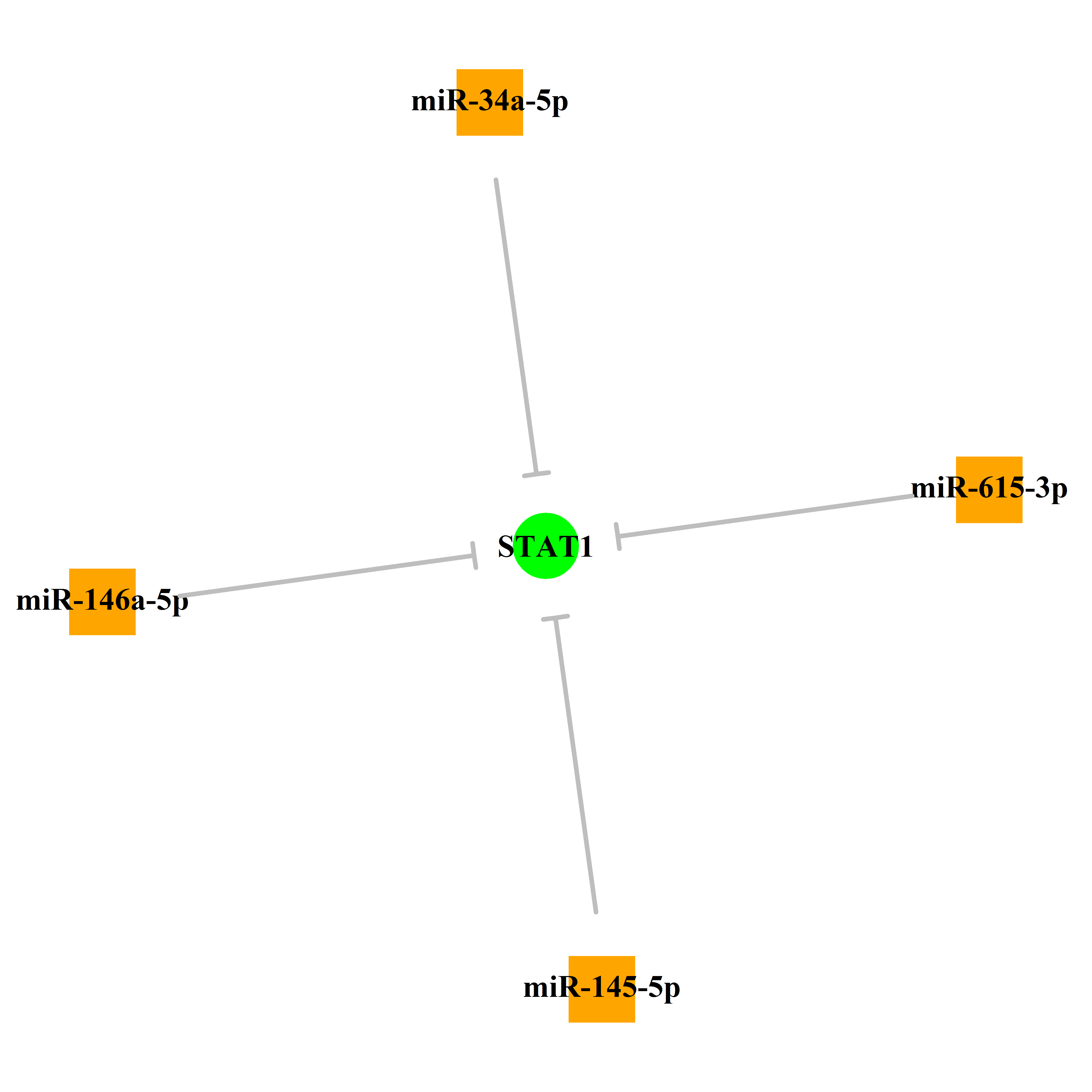 Experimentally validated miRNA-TS gene regulation information.