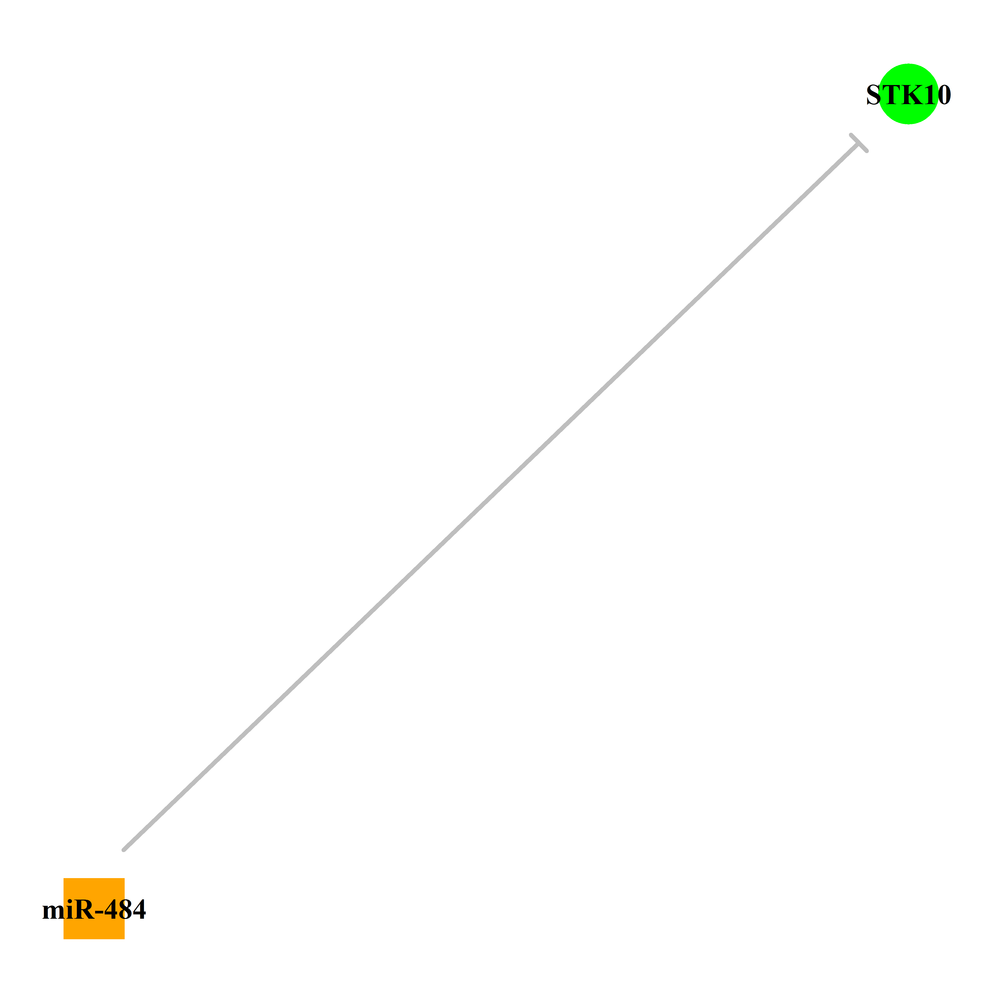 Experimentally validated miRNA-TS gene regulation information.