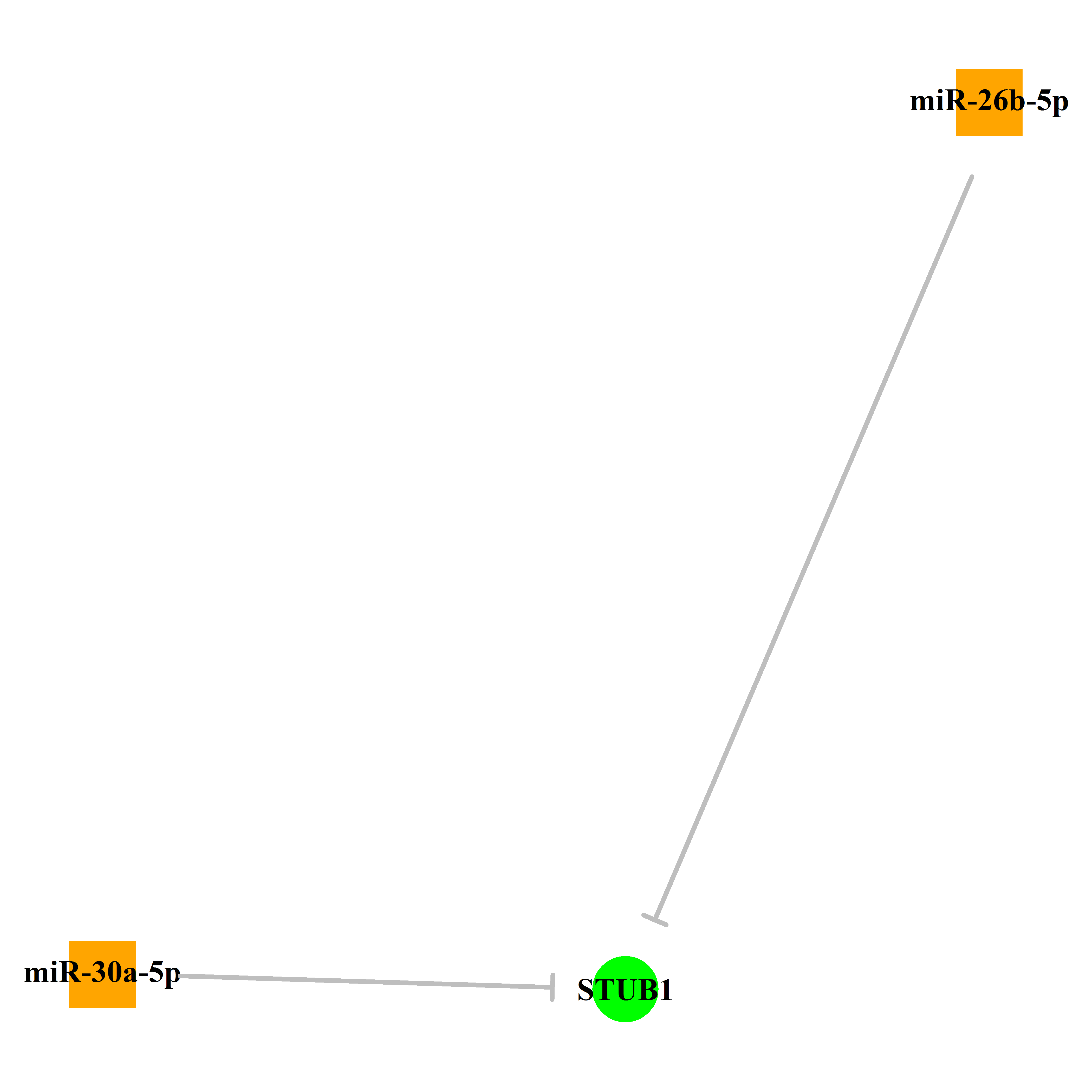 Experimentally validated miRNA-TS gene regulation information.