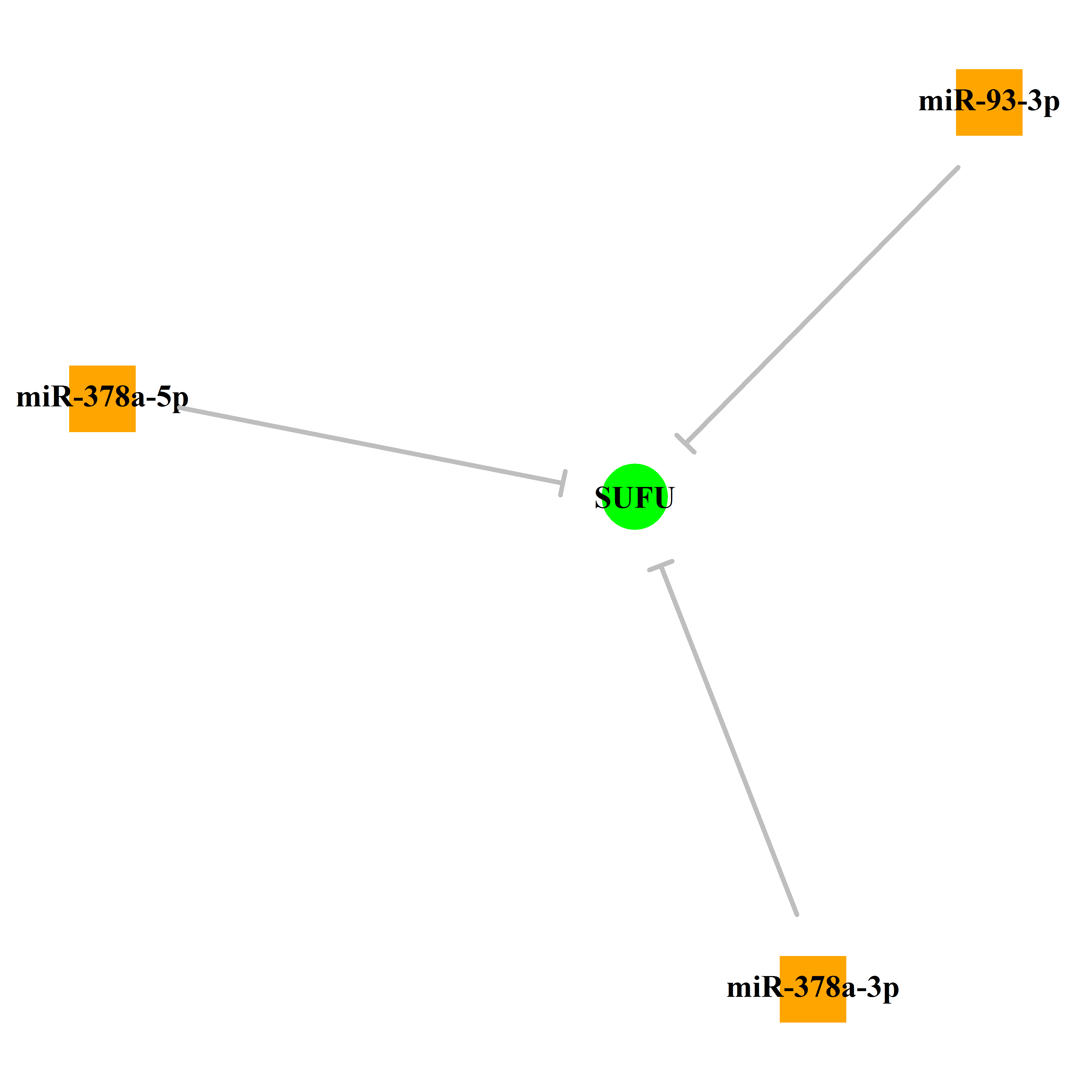 Experimentally validated miRNA-TS gene regulation information.