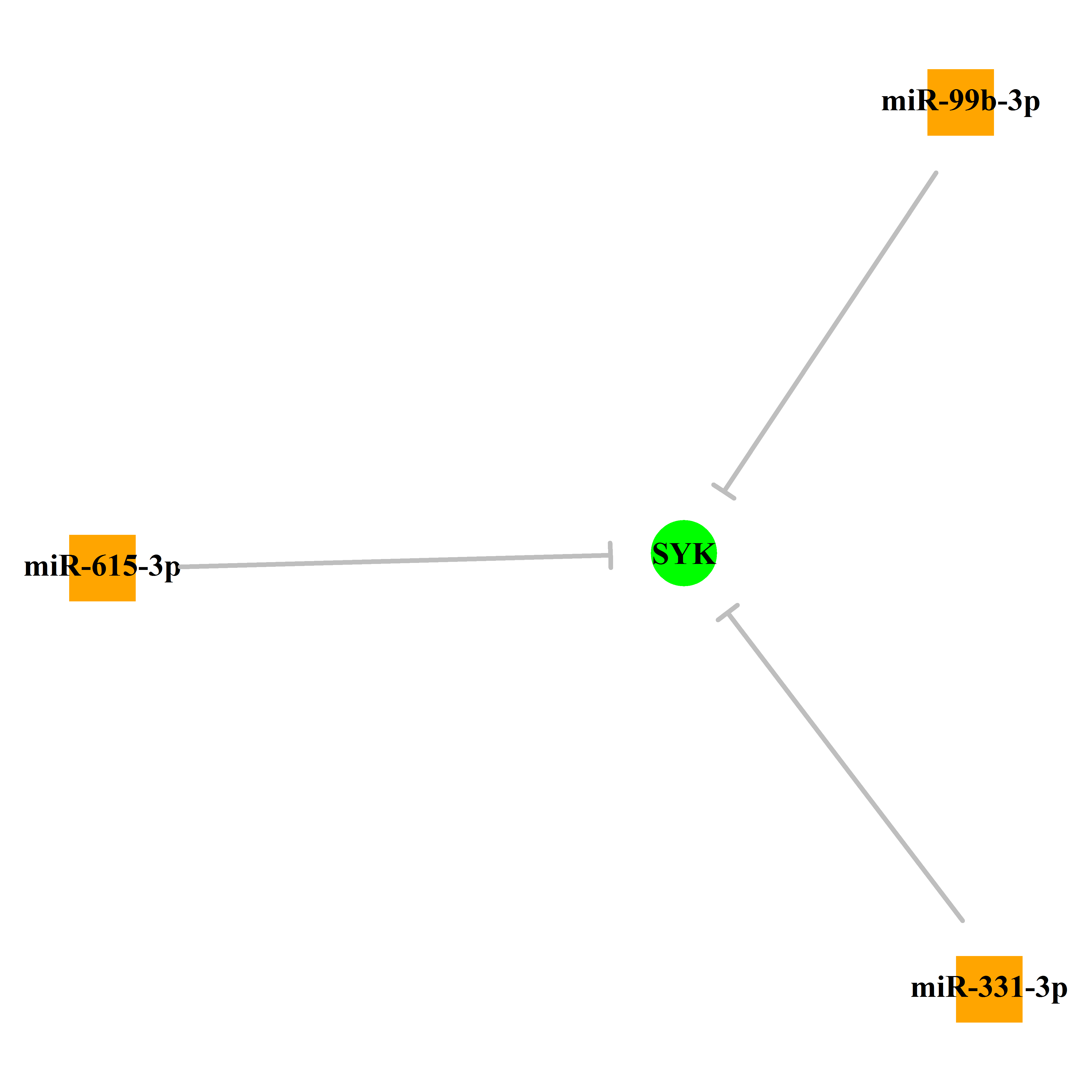 Experimentally validated miRNA-TS gene regulation information.