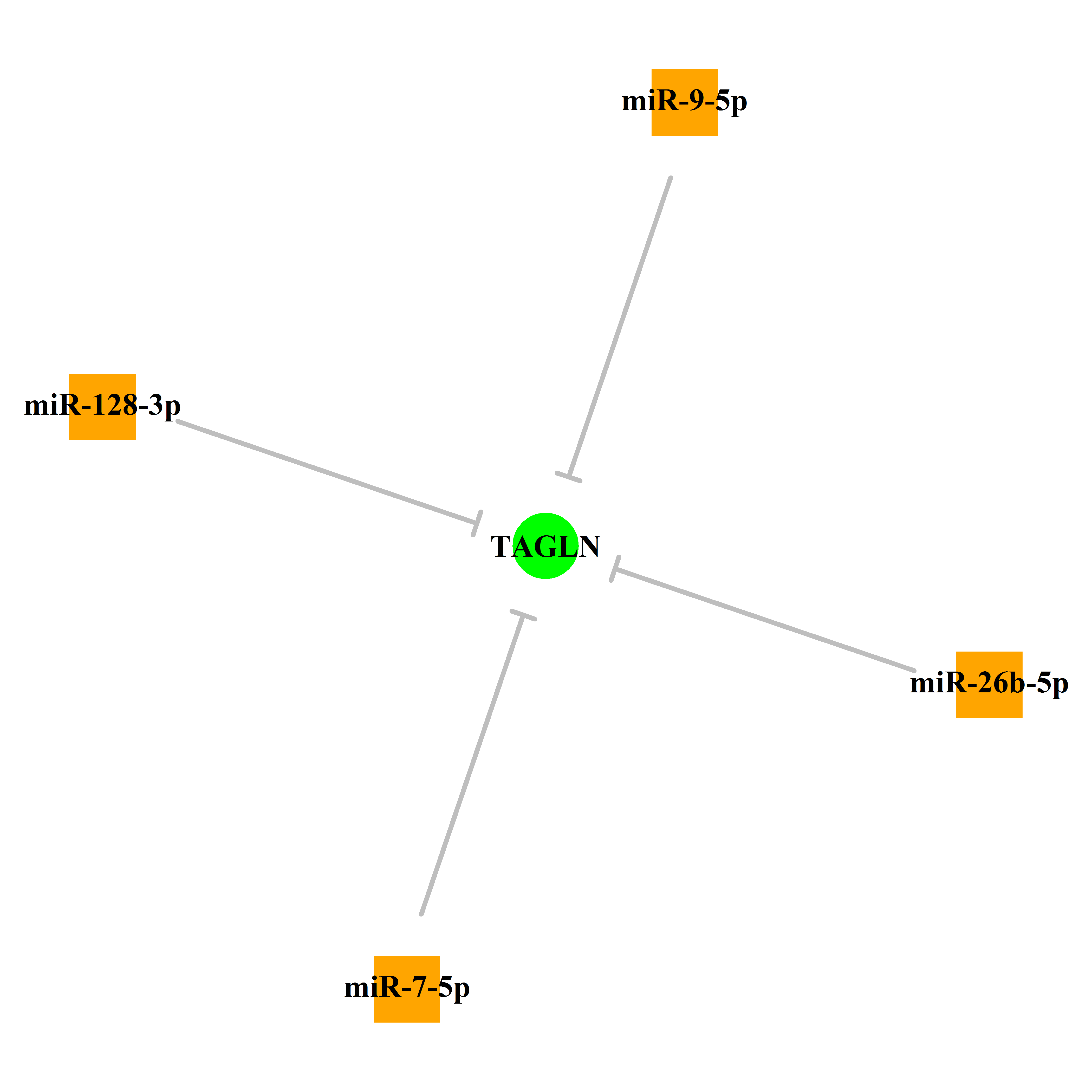 Experimentally validated miRNA-TS gene regulation information.