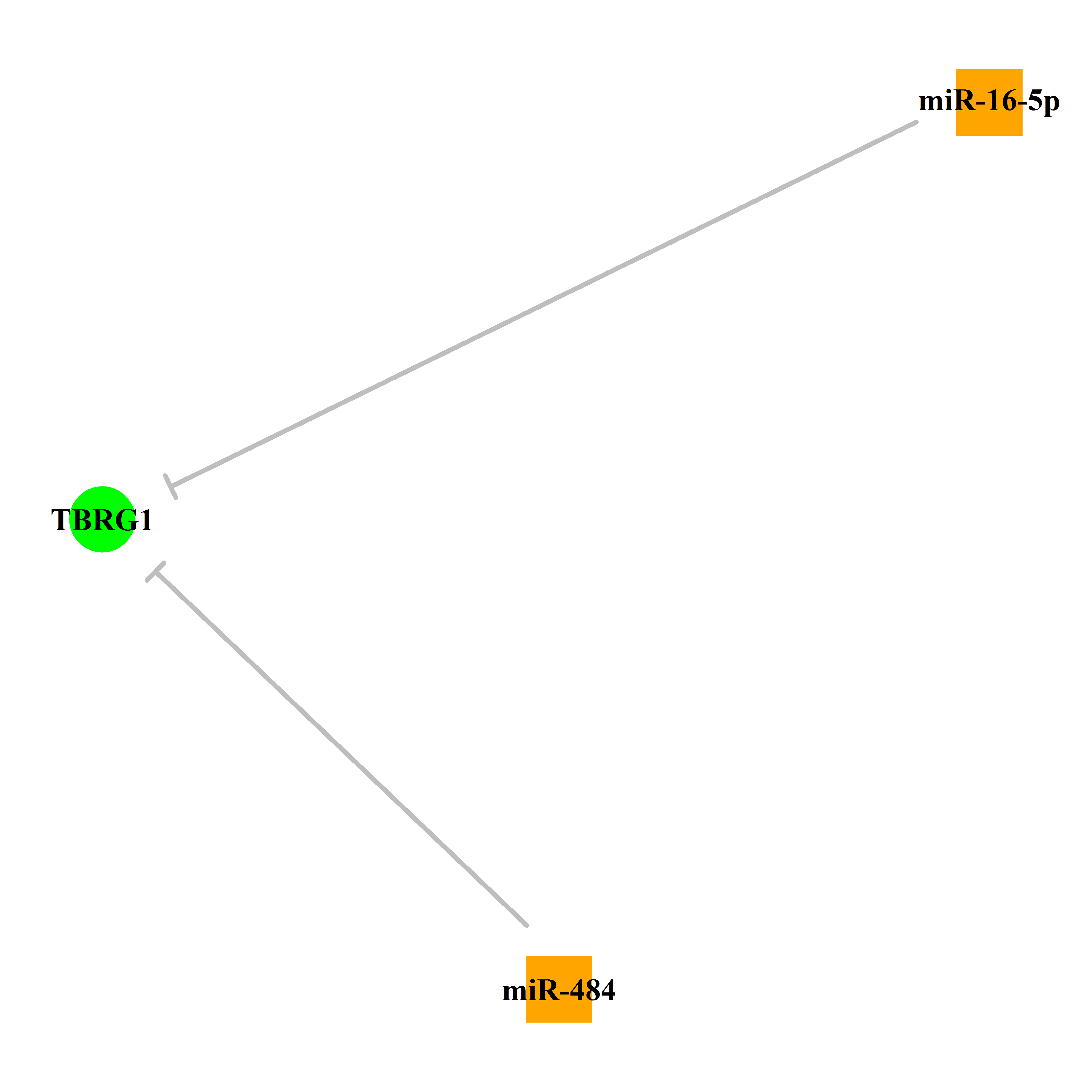 Experimentally validated miRNA-TS gene regulation information.