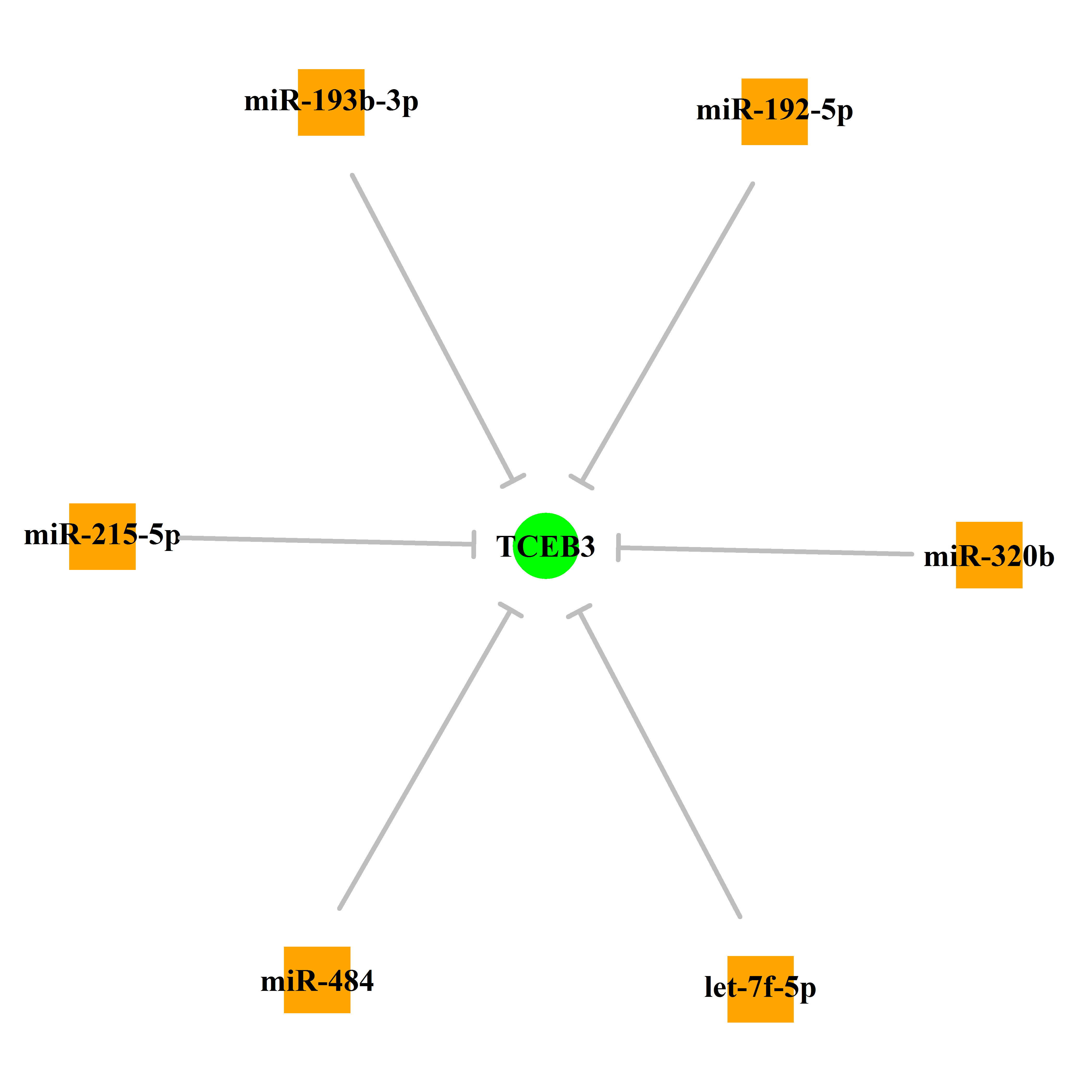 Experimentally validated miRNA-TS gene regulation information.