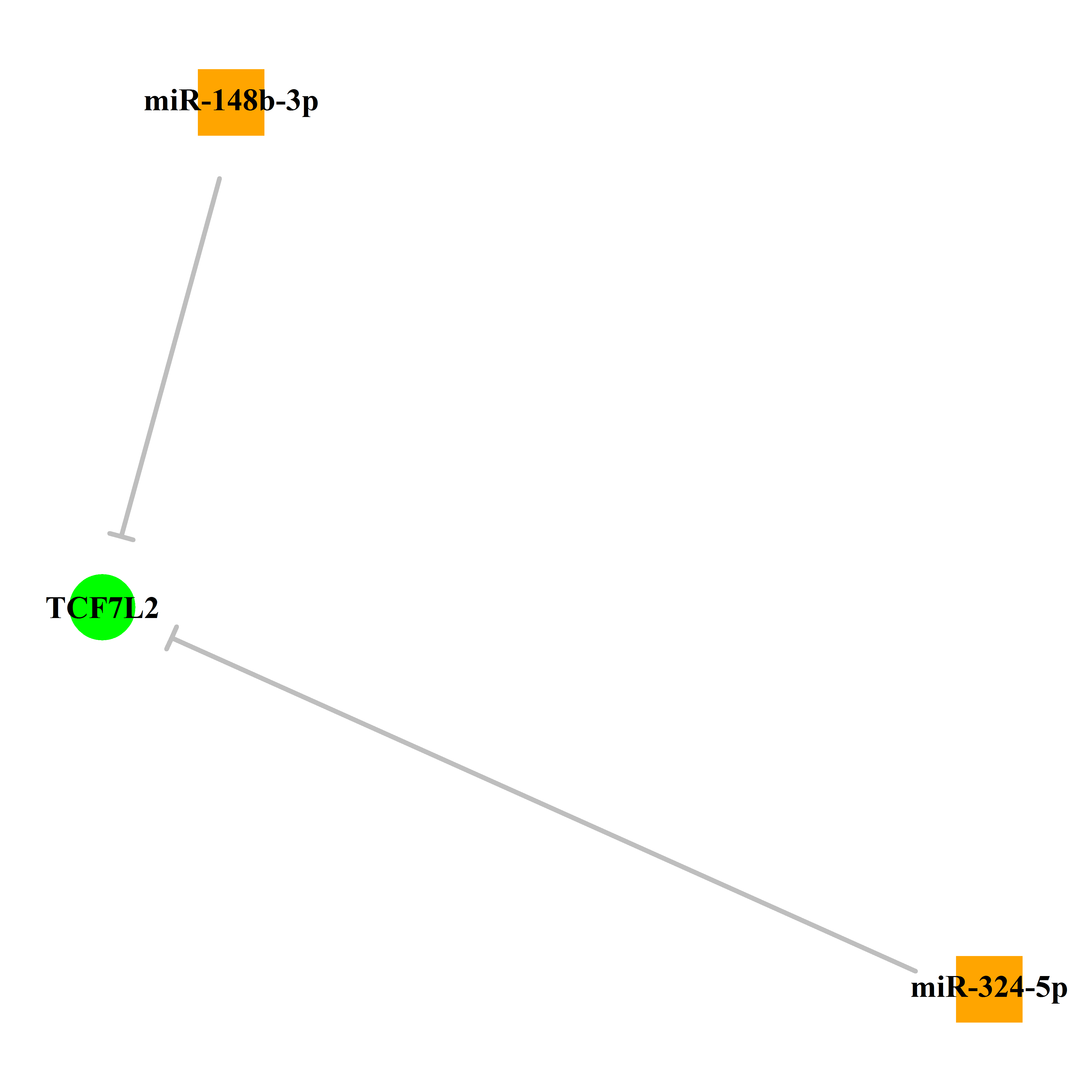 Experimentally validated miRNA-TS gene regulation information.