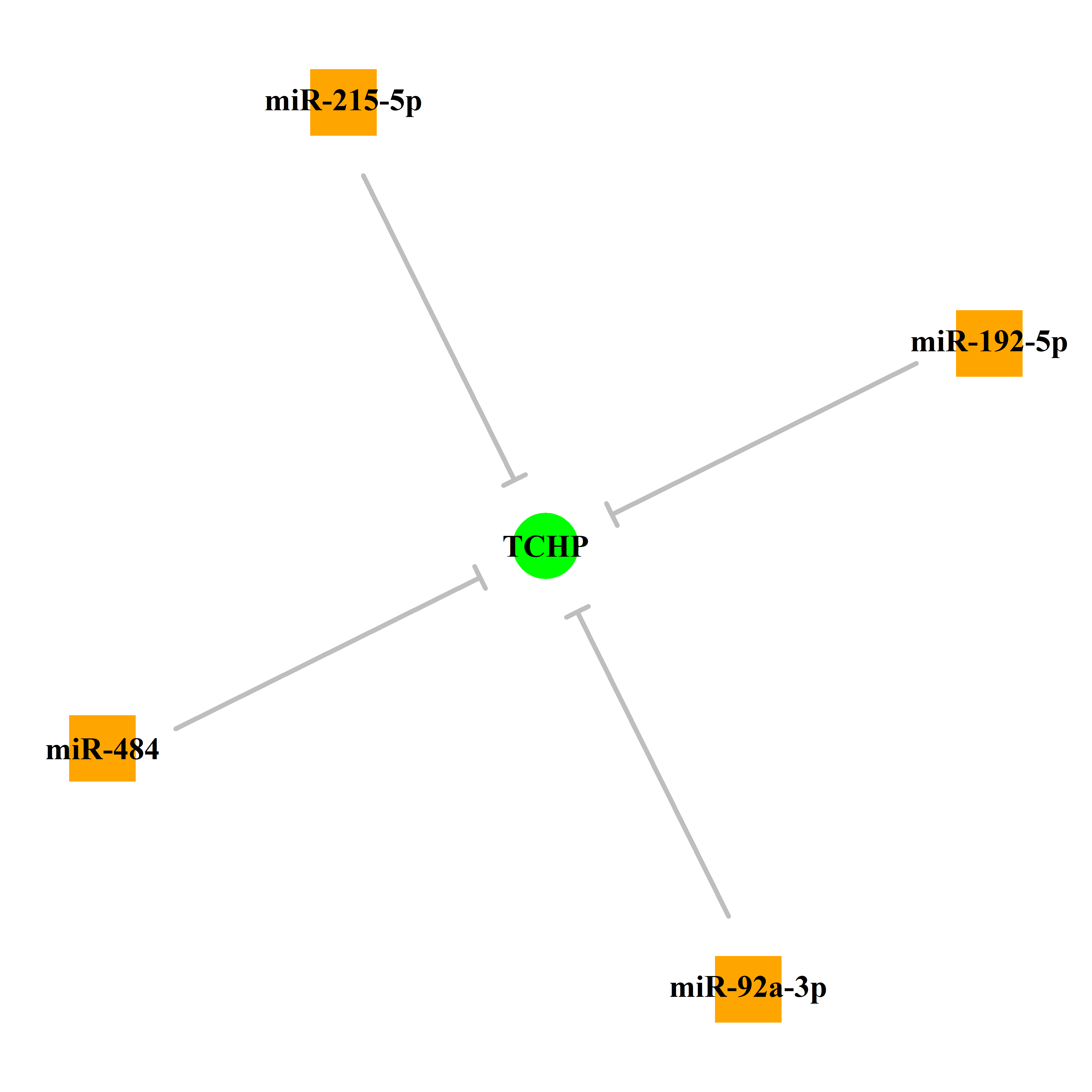 Experimentally validated miRNA-TS gene regulation information.