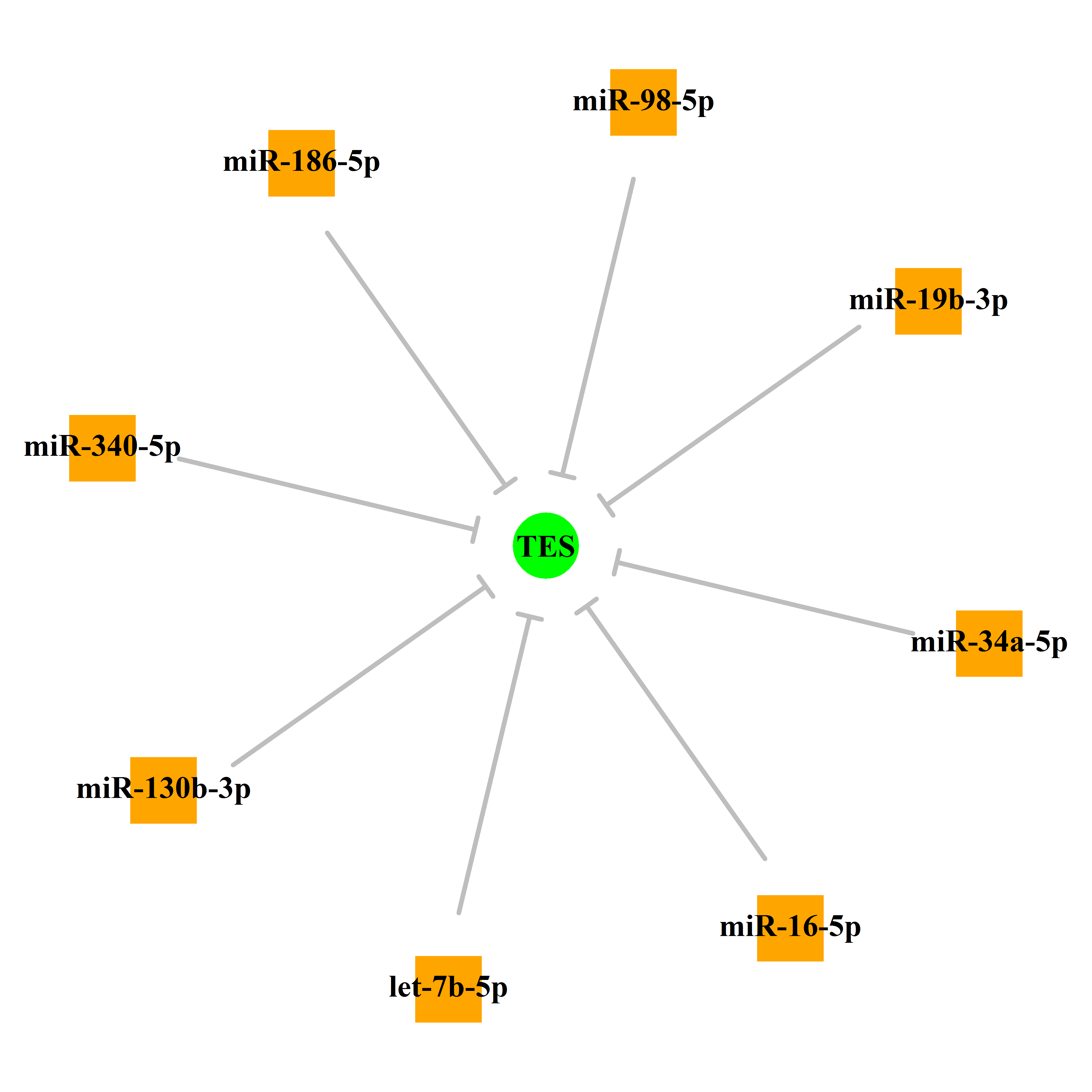 Experimentally validated miRNA-TS gene regulation information.