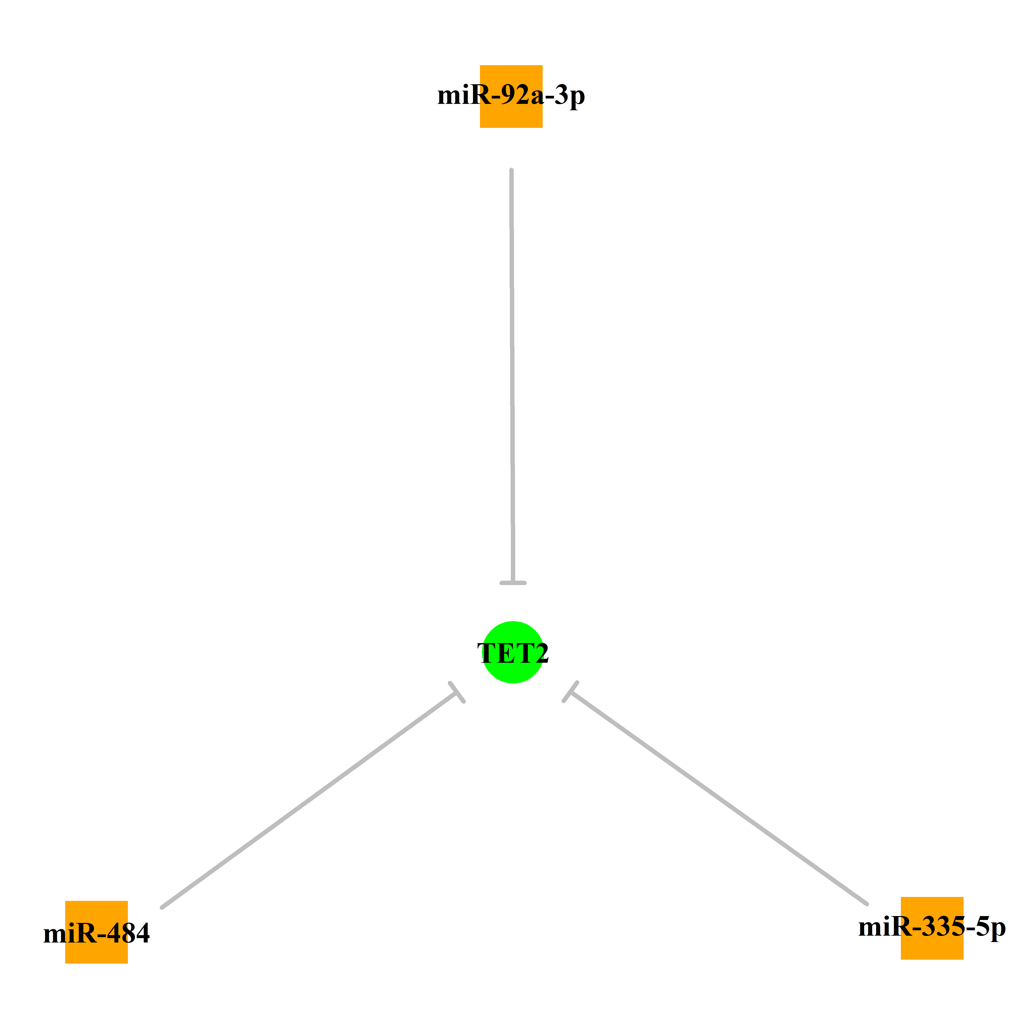 Experimentally validated miRNA-TS gene regulation information.