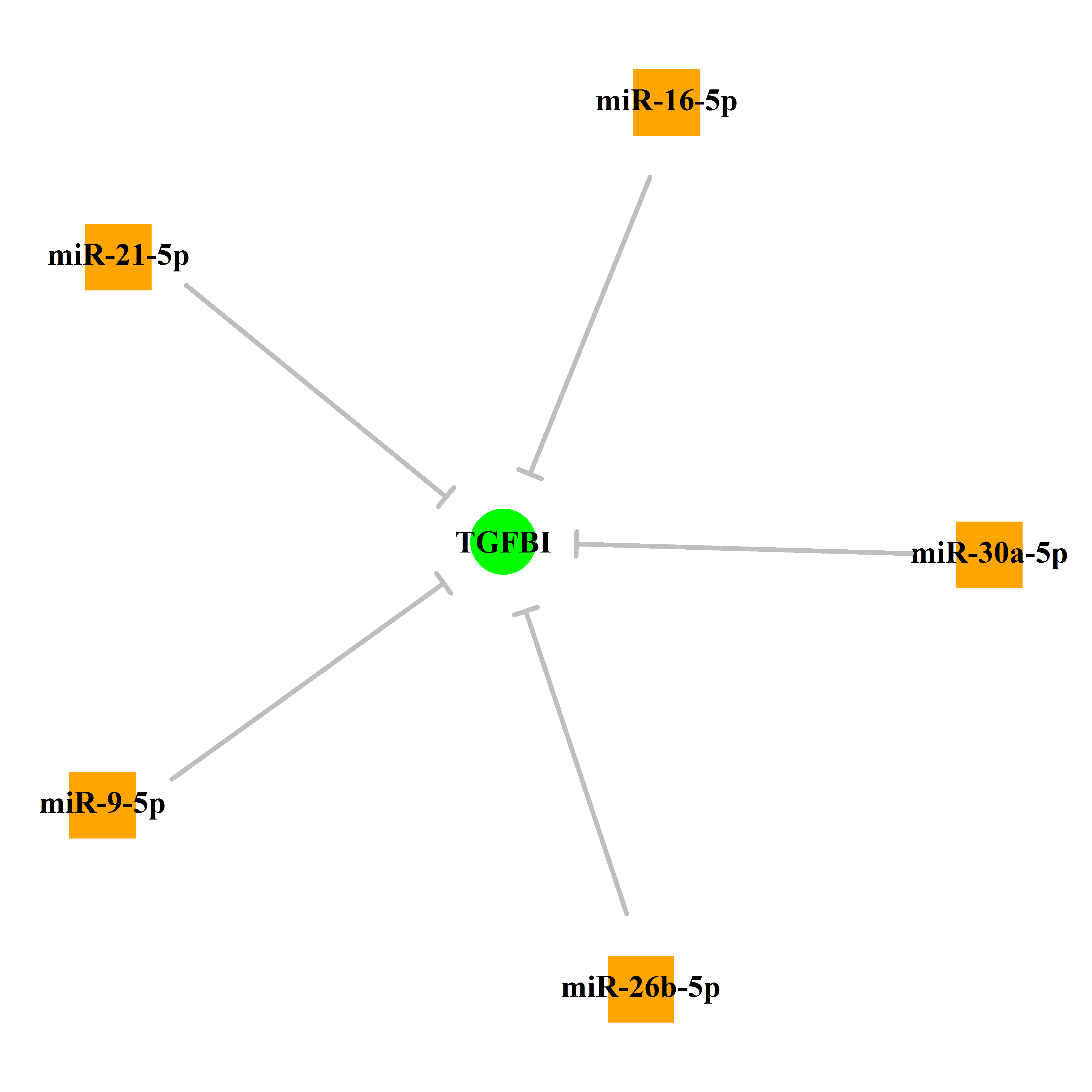 Experimentally validated miRNA-TS gene regulation information.