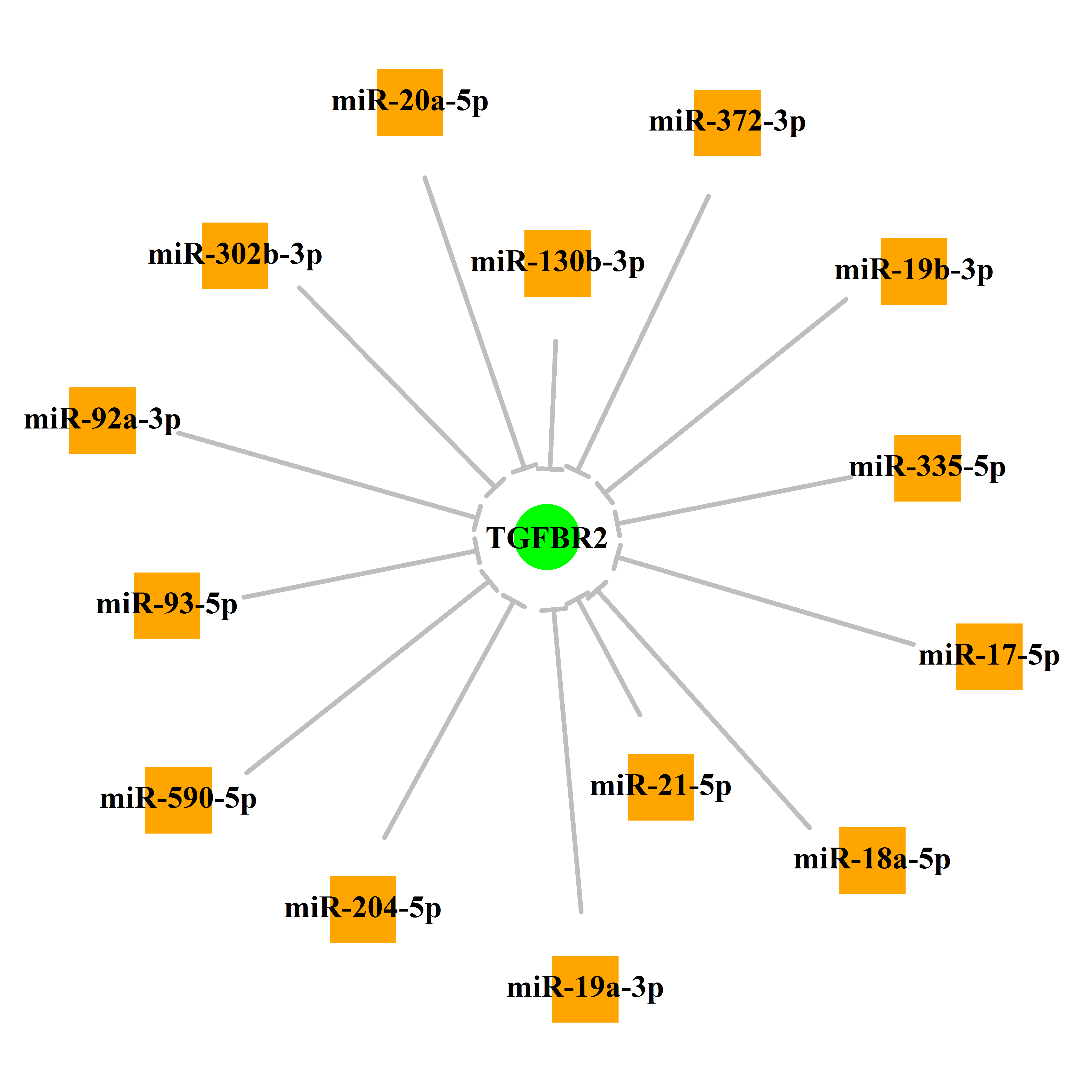 Experimentally validated miRNA-TS gene regulation information.