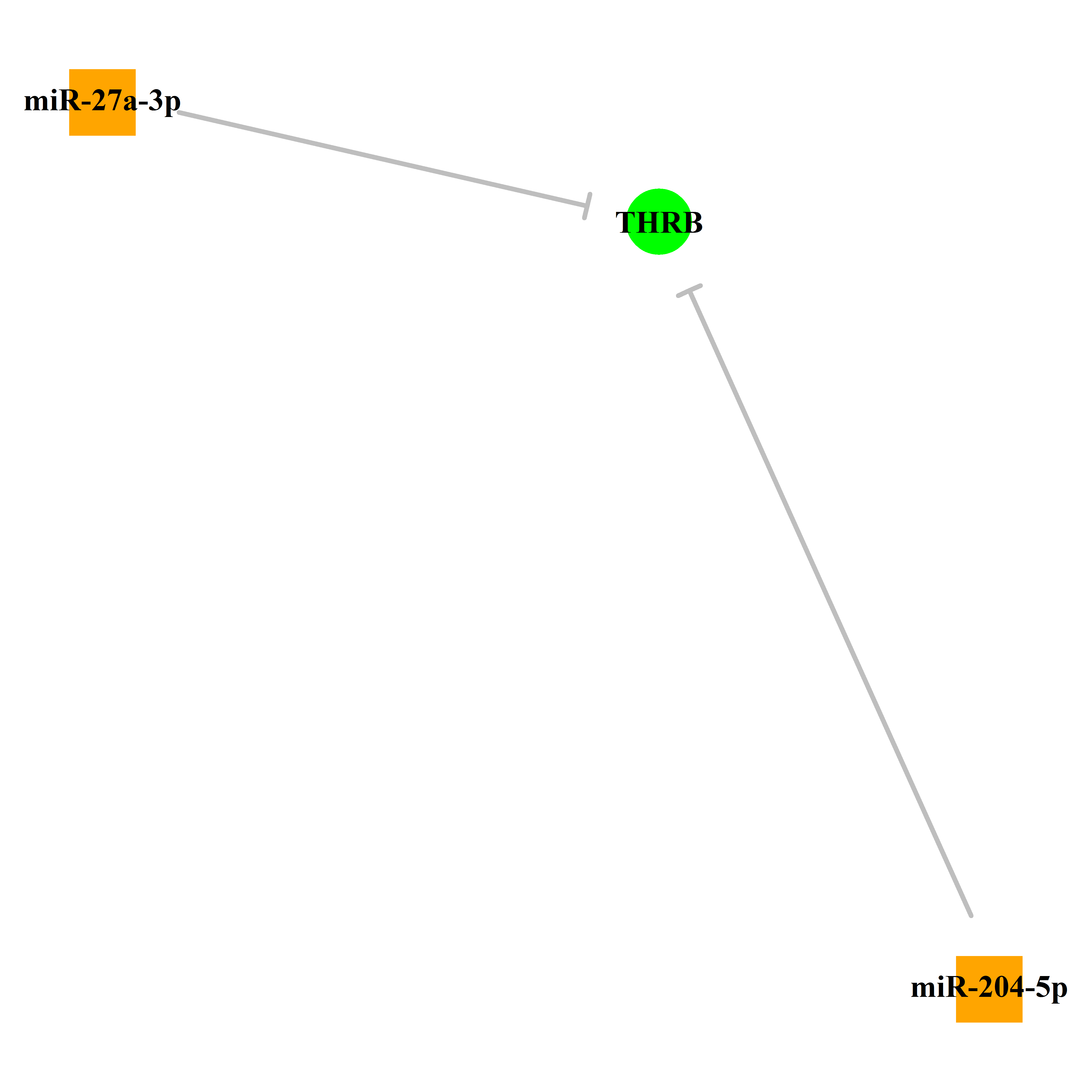 Experimentally validated miRNA-TS gene regulation information.