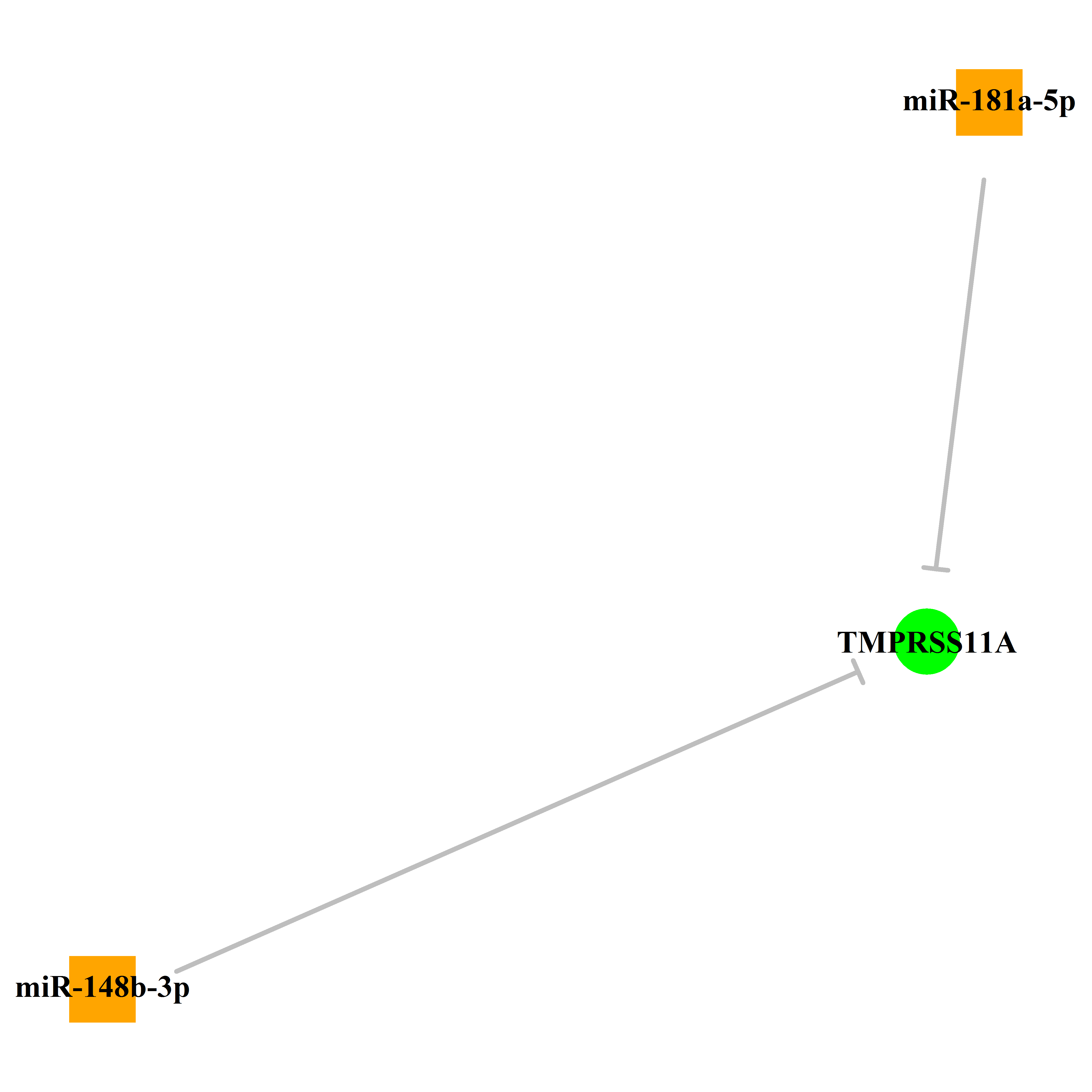 Experimentally validated miRNA-TS gene regulation information.