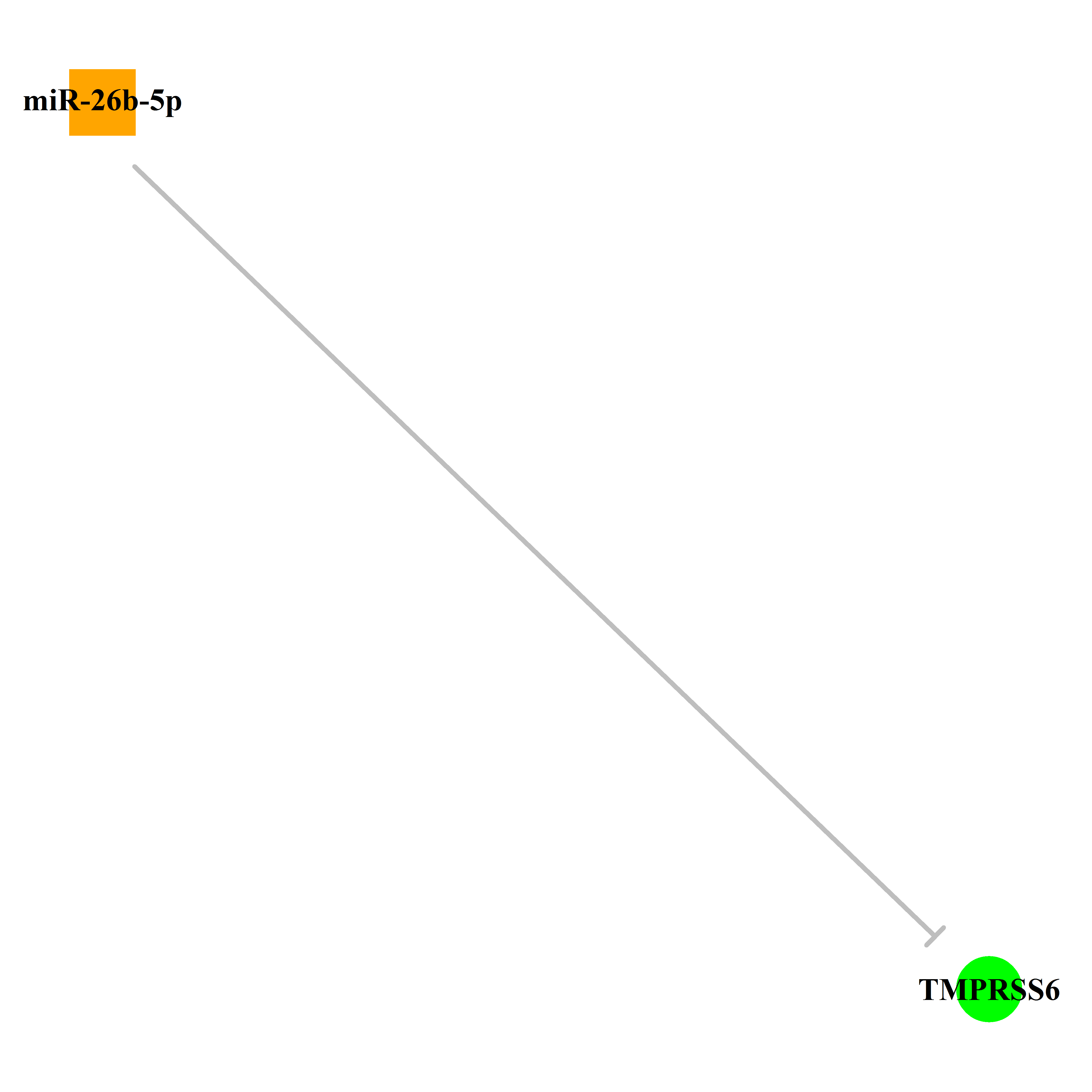 Experimentally validated miRNA-TS gene regulation information.