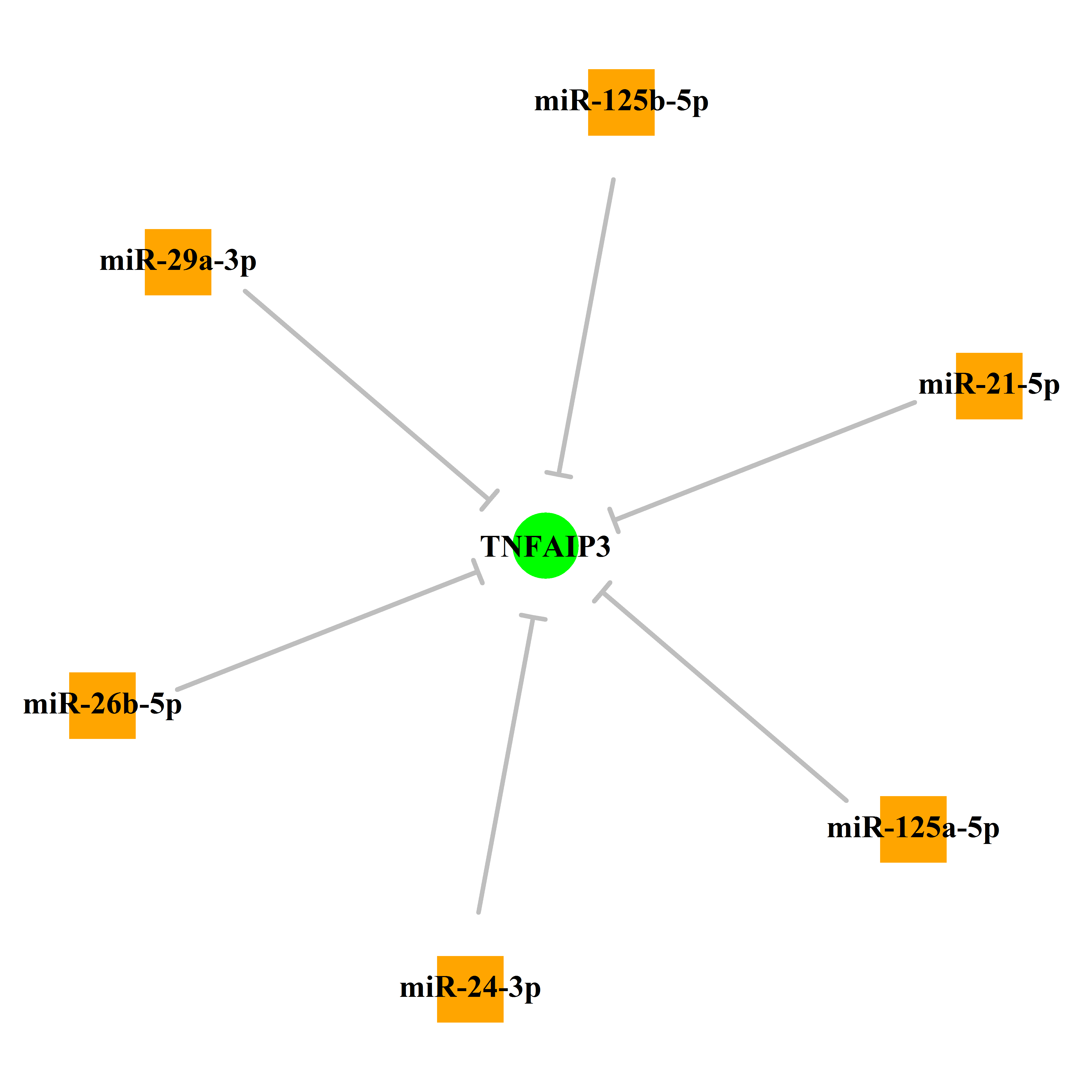 Experimentally validated miRNA-TS gene regulation information.